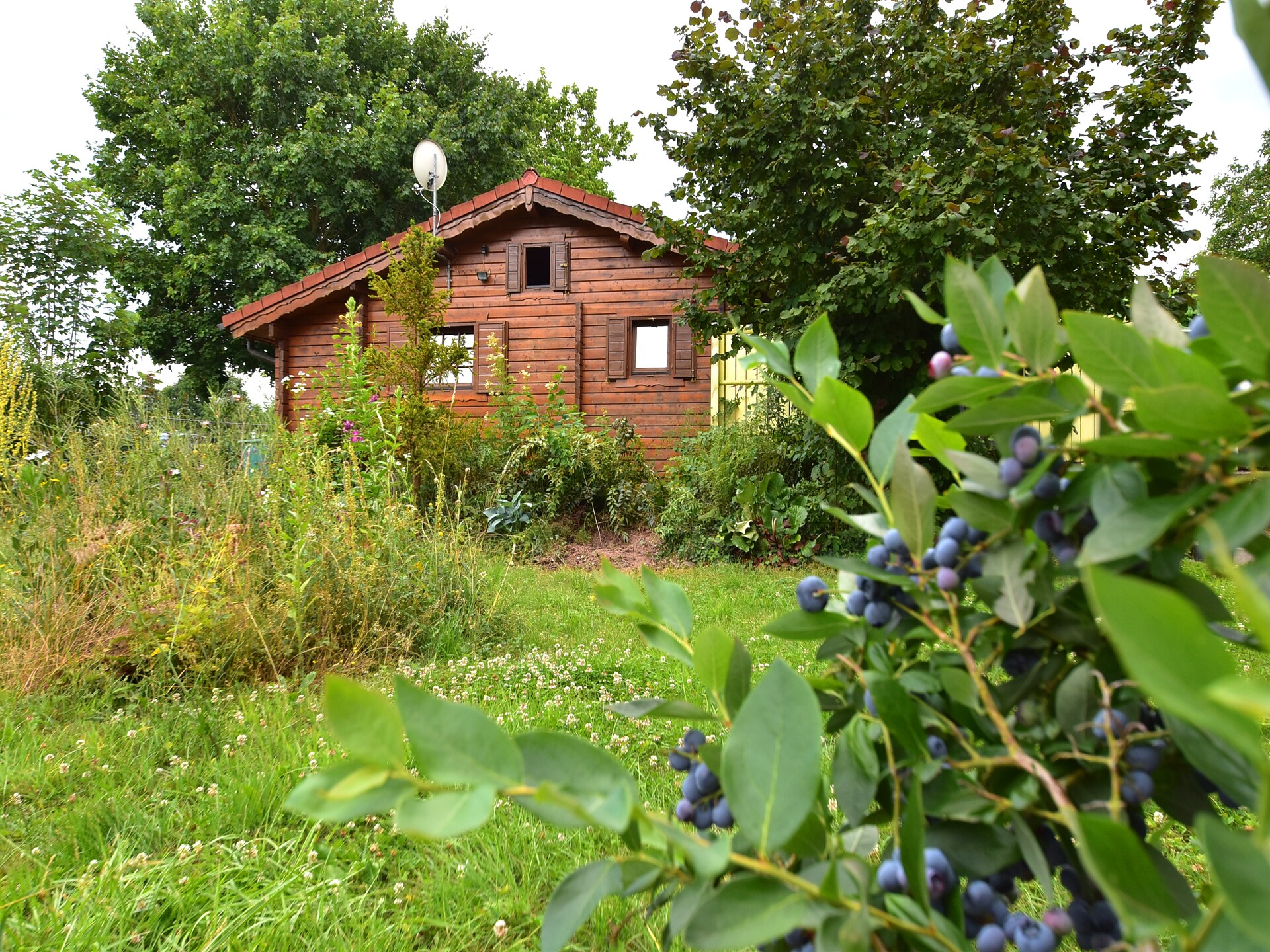 Vrijstaand vakantiehuis voor 2 aan de bosrand bij Niederaula met eigen tuin - foto 27