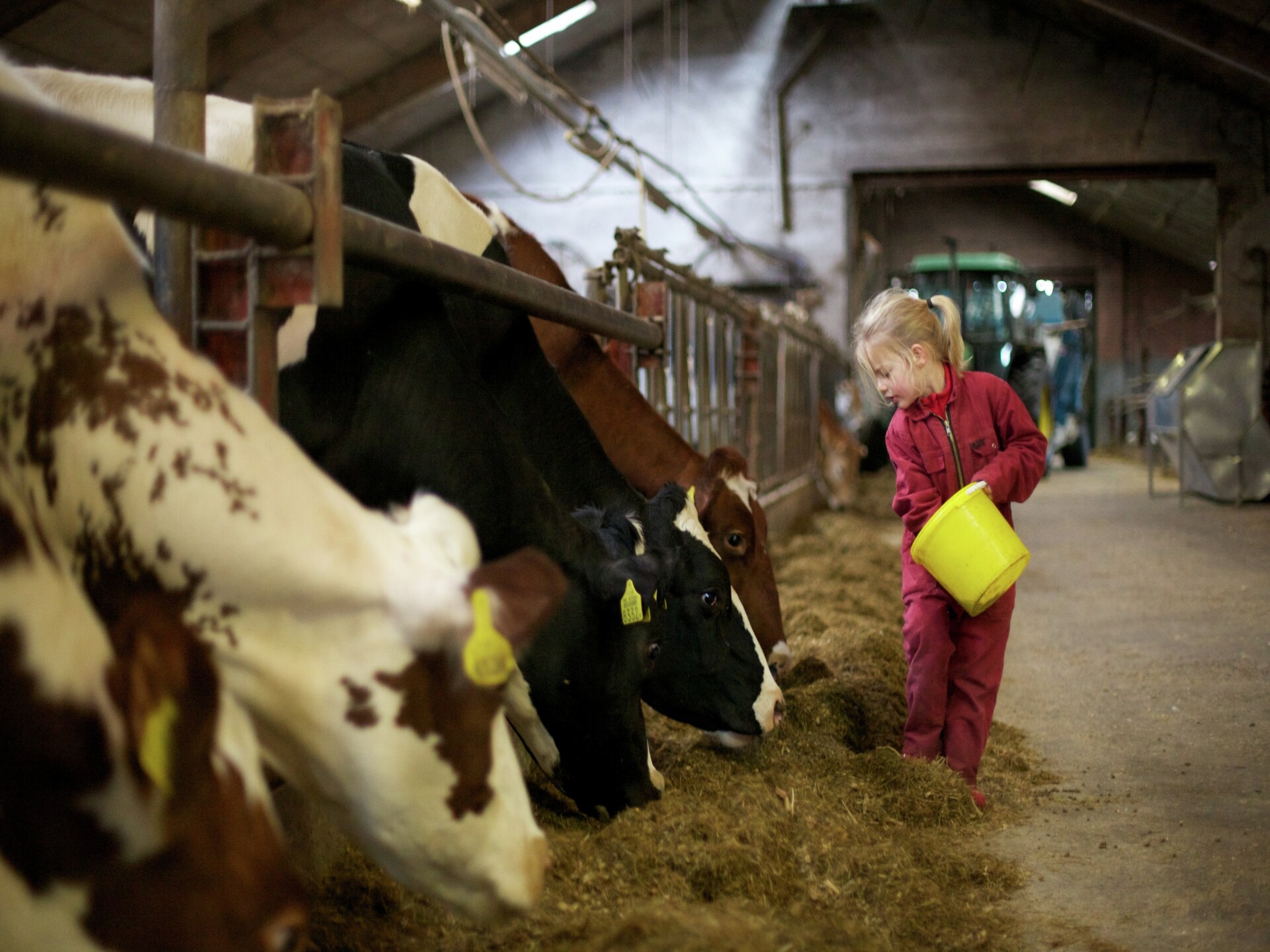 Koe in de Kost 3: Unieke 8-persoons bungalow met begroeid dak in Heeten - foto 24