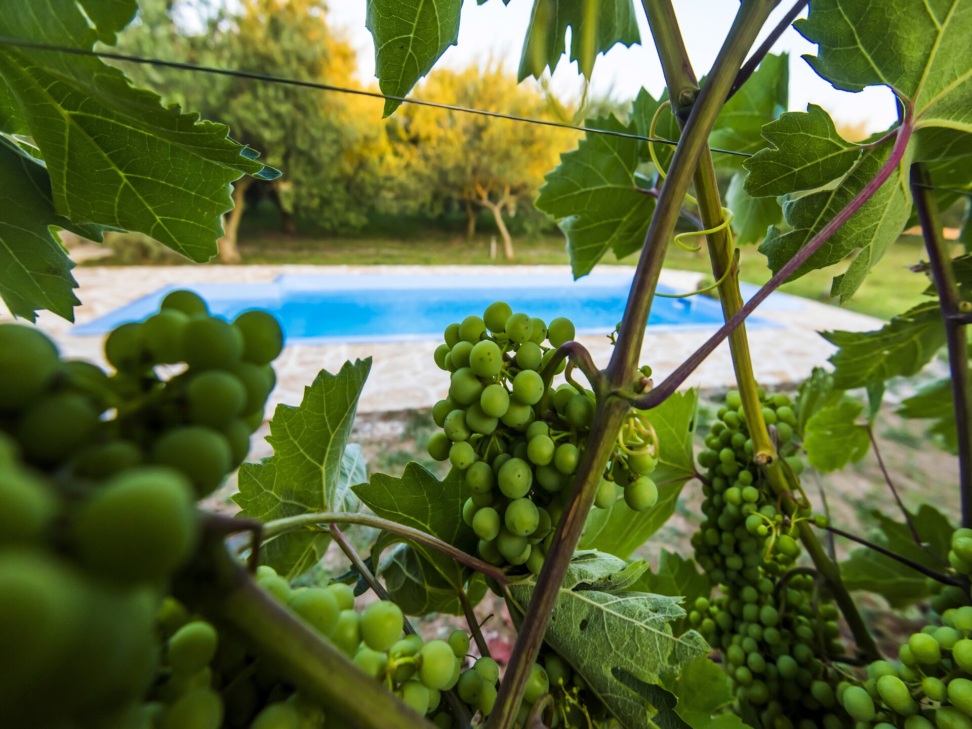 Vrijstaand vakantiehuis met privézwembad nabij Zadar - foto 38