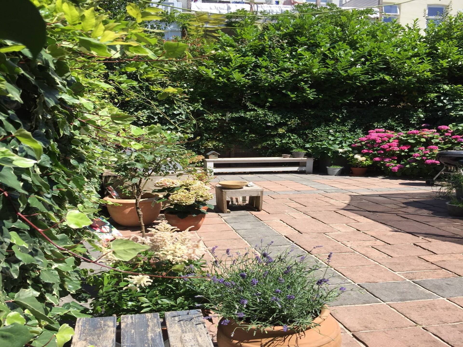 Huize Columbus: Stijlvol familiehuis met tuin in het bruisende Zeeheldenkwartier - foto 10