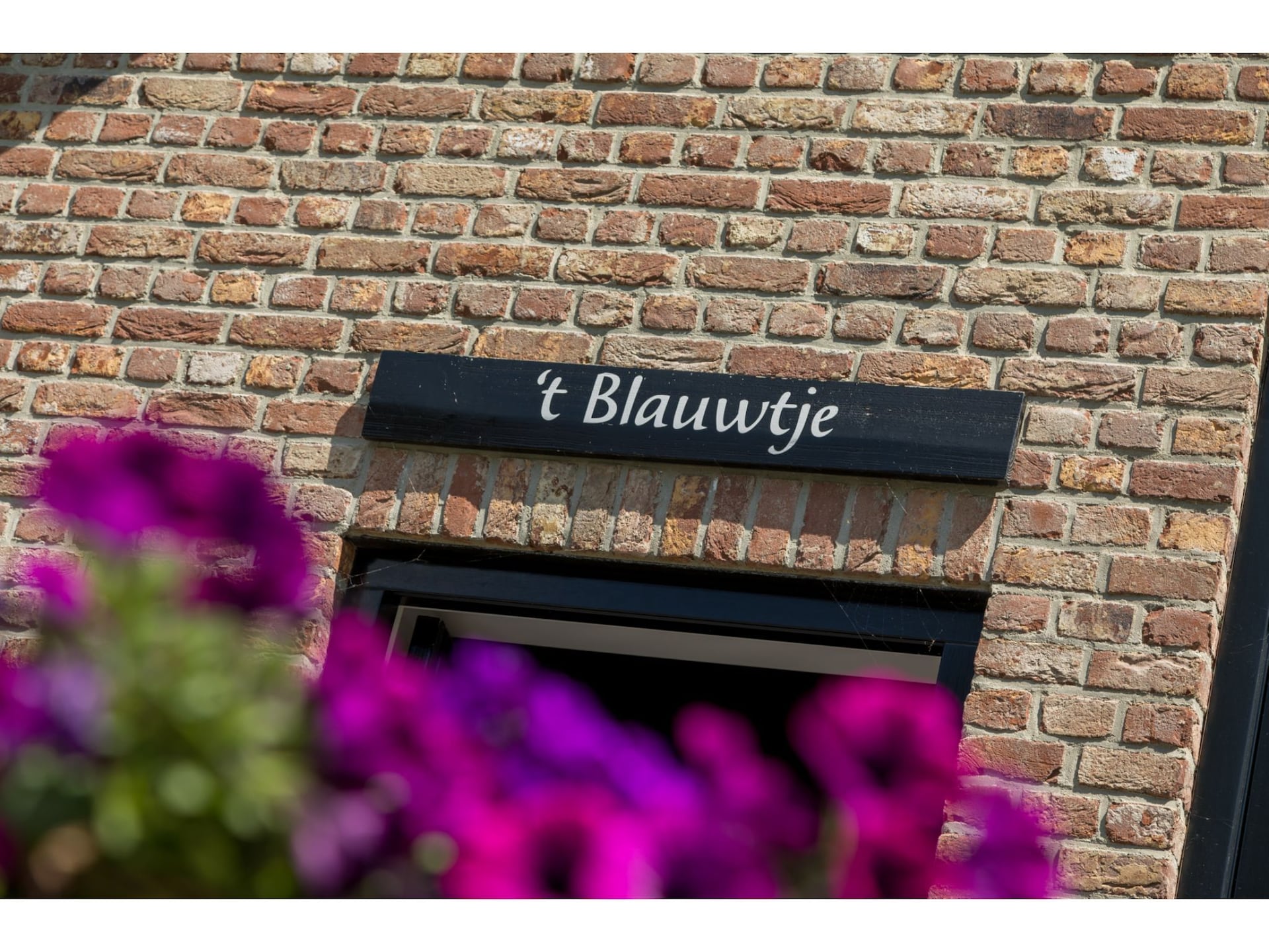 Landhuis 't Blauwtje – rustig genieten in de Zeeuwse polder bij Vrouwenpolder - foto 38