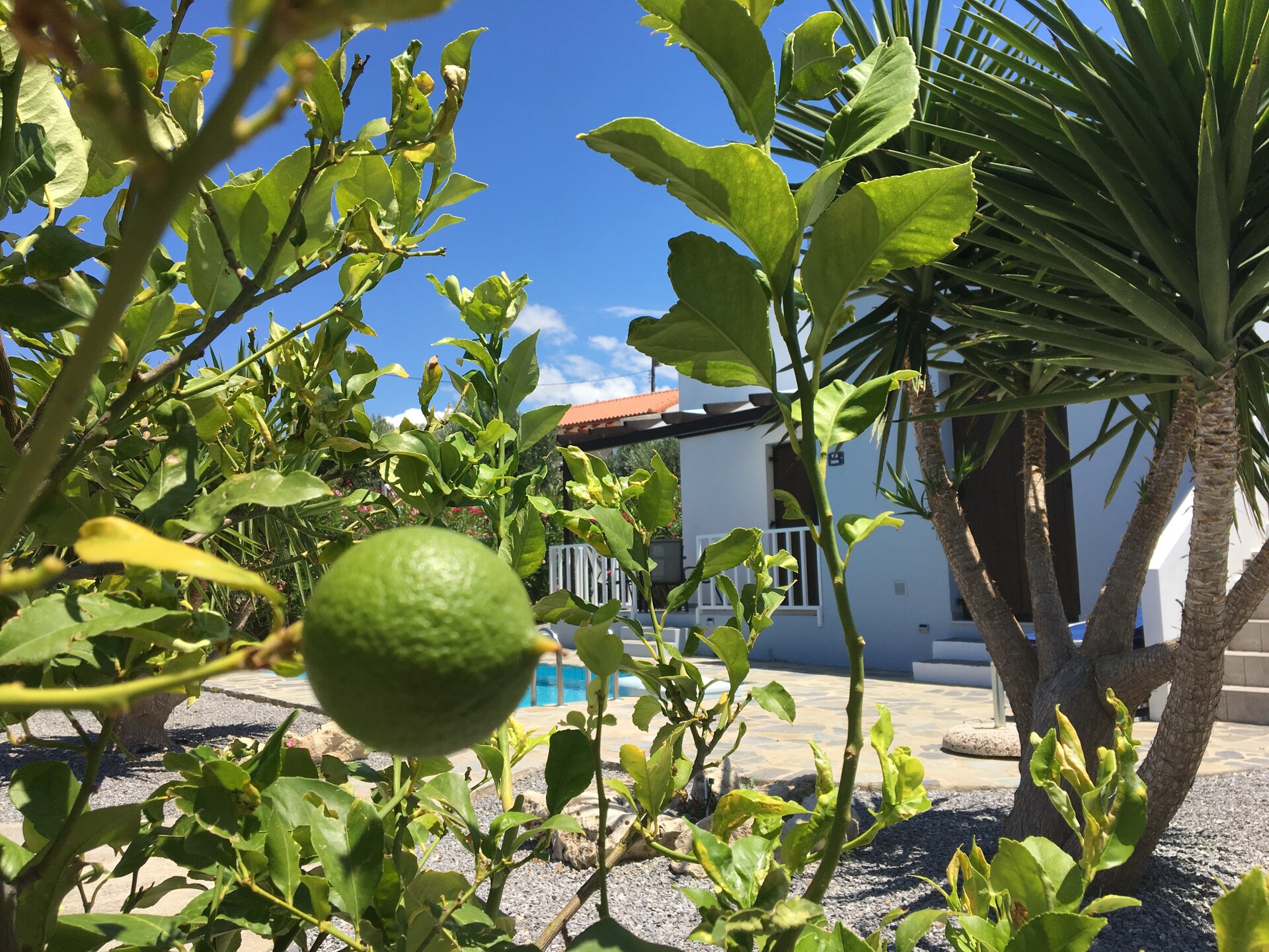 Villa Anna: sfeervol genieten met zeezicht bij Rethymnon - foto 33