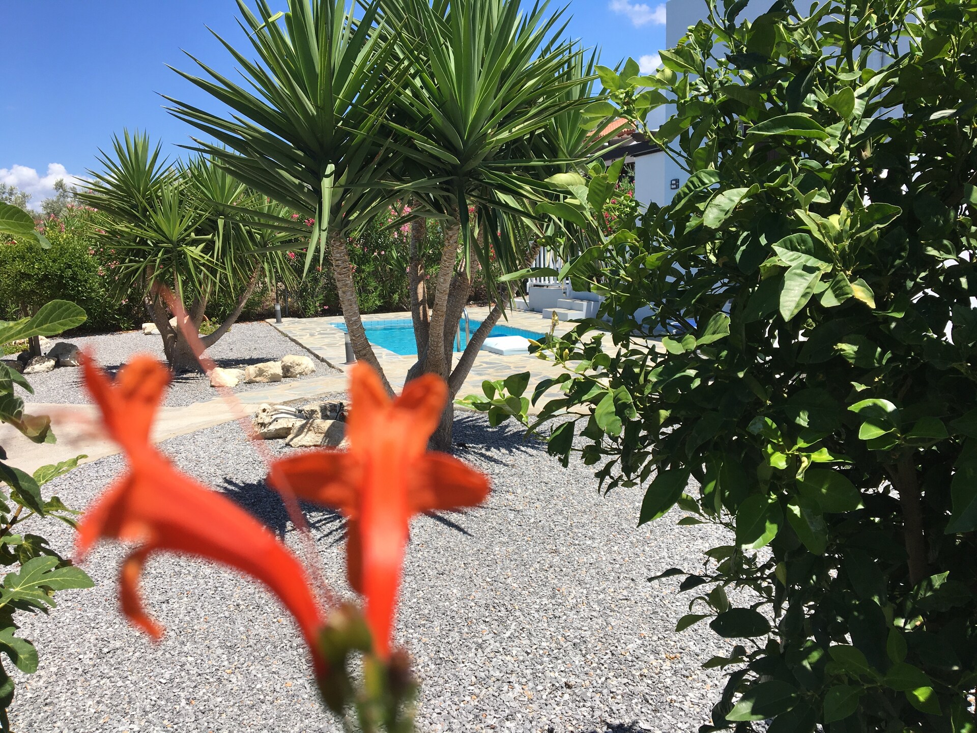 Villa Anna: sfeervol genieten met zeezicht bij Rethymnon - foto 35