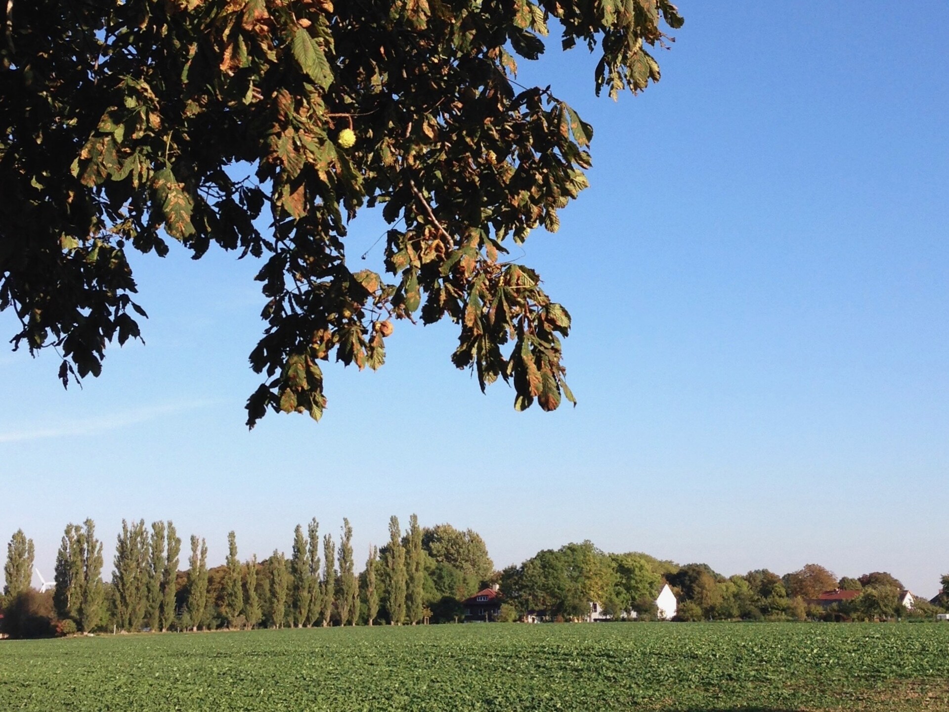 Stijlvol appartement voor 5 op het platteland bij de Oostzee - foto 22