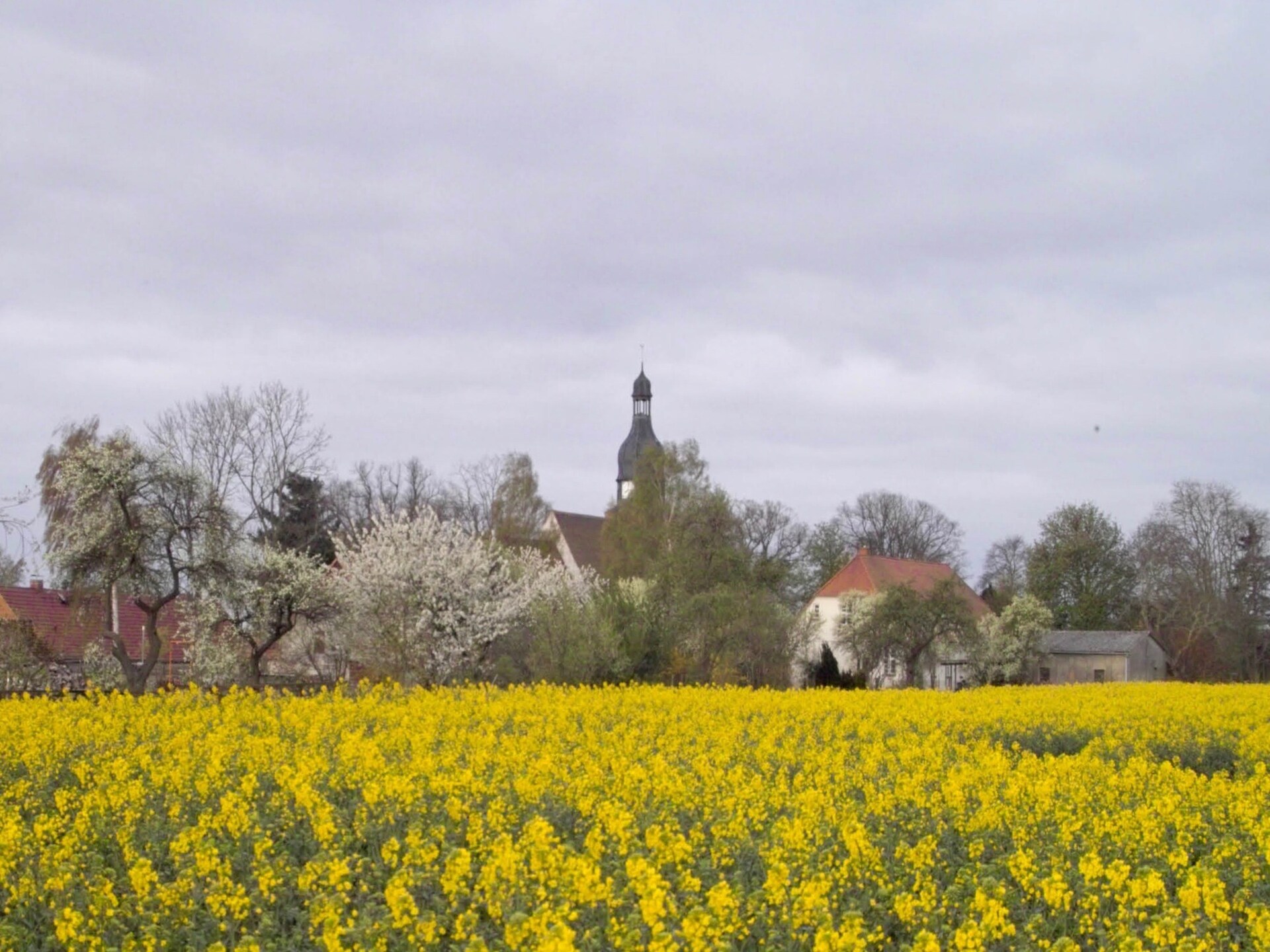 Stijlvol appartement voor 5 op het platteland bij de Oostzee - foto 19