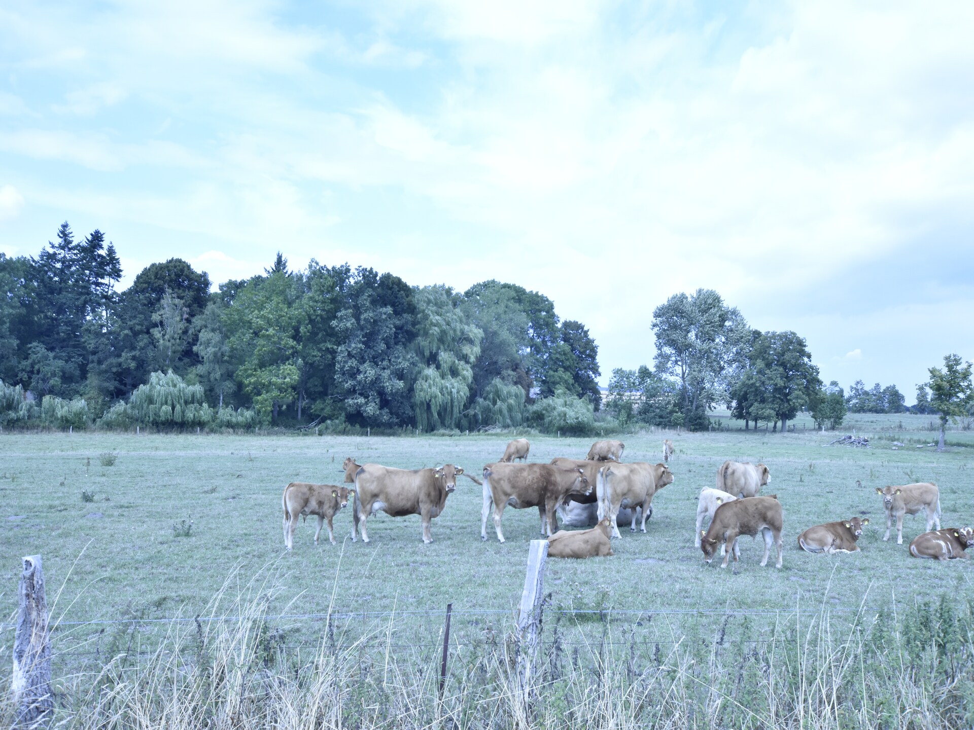Stijlvol appartement voor 5 op het platteland bij de Oostzee - foto 21