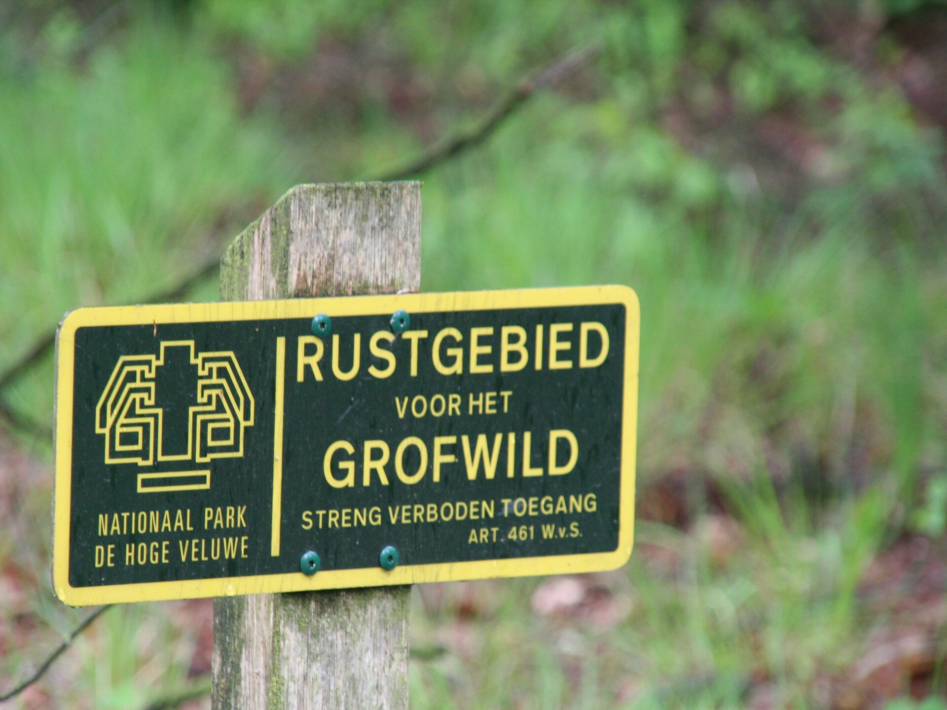 Veluwse Specht: vrijstaand vakantiehuis aan de rand van het bos in Garderen - foto 30