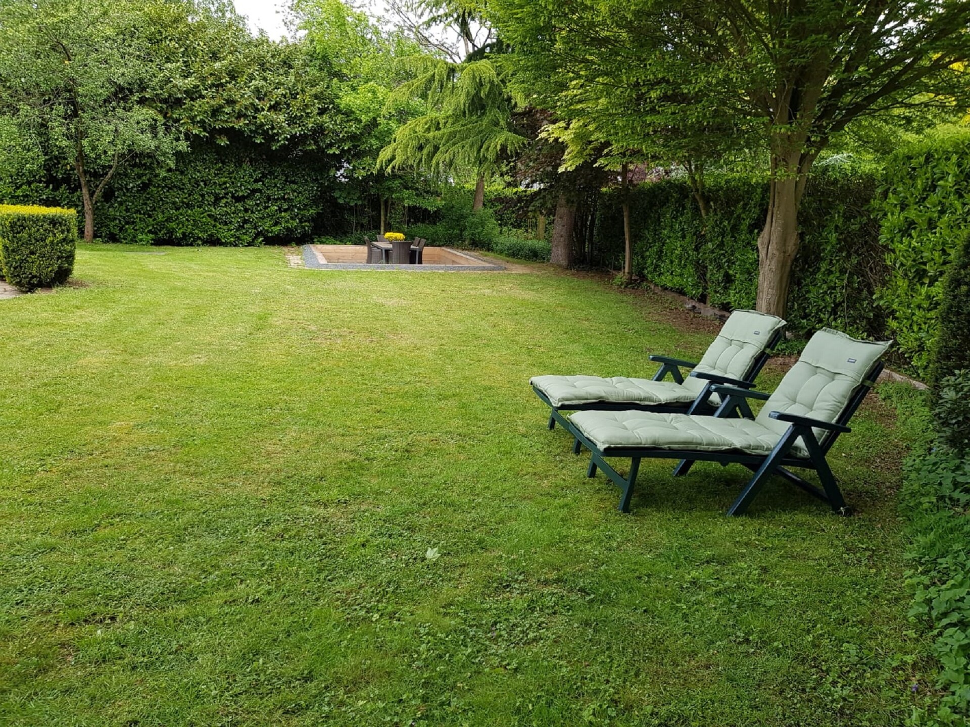 Veluwse Specht: vrijstaand vakantiehuis aan de rand van het bos in Garderen - foto 19
