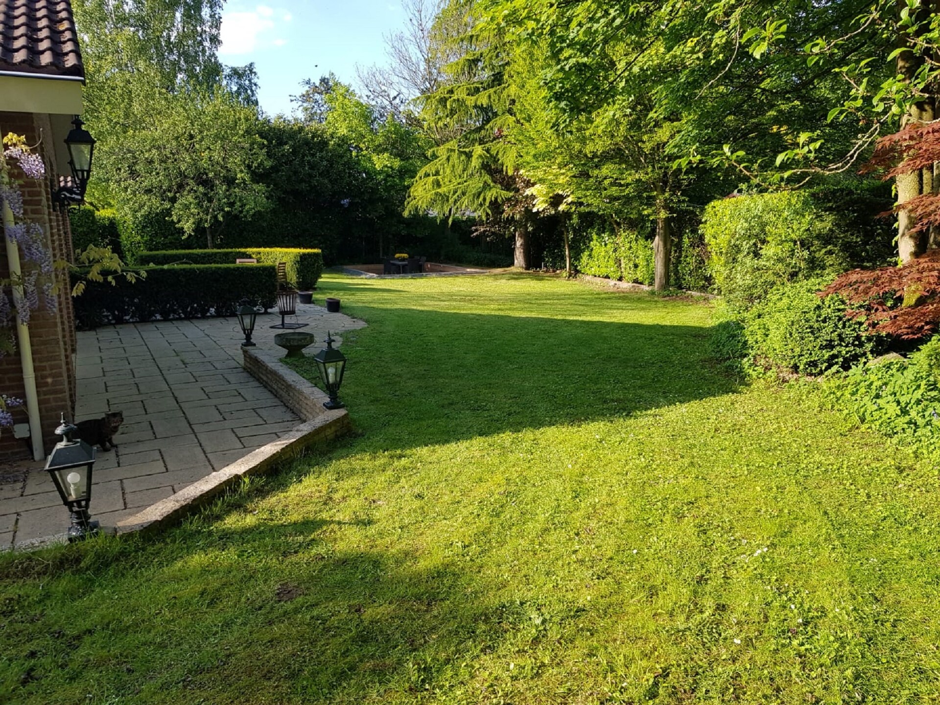 Veluwse Specht: vrijstaand vakantiehuis aan de rand van het bos in Garderen - foto 23