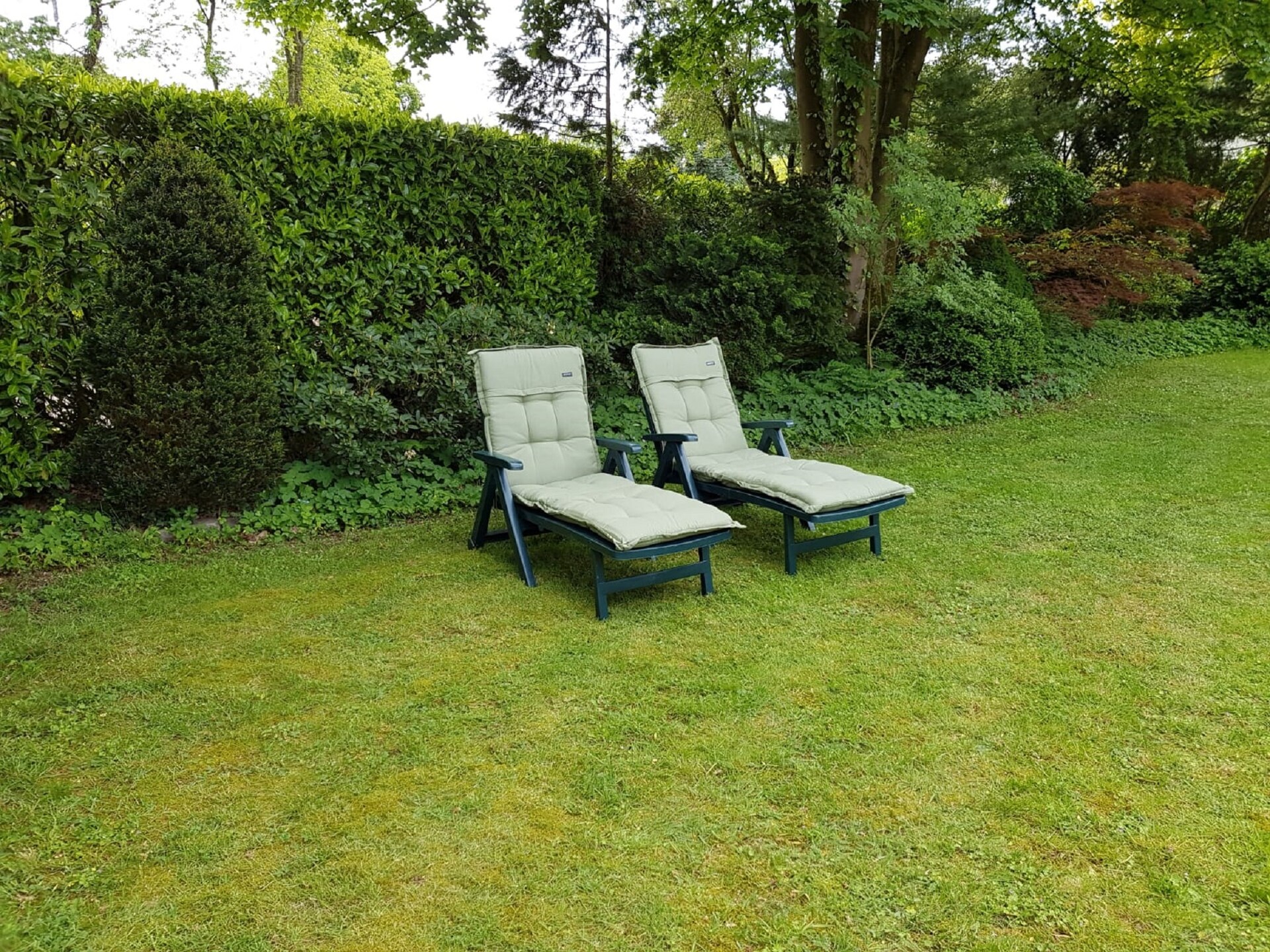 Veluwse Specht: vrijstaand vakantiehuis aan de rand van het bos in Garderen - foto 25