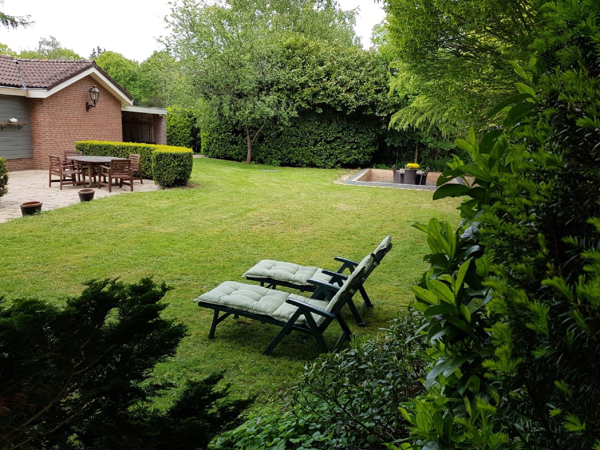 Veluwse Specht: vrijstaand vakantiehuis aan de rand van het bos in Garderen - foto 24