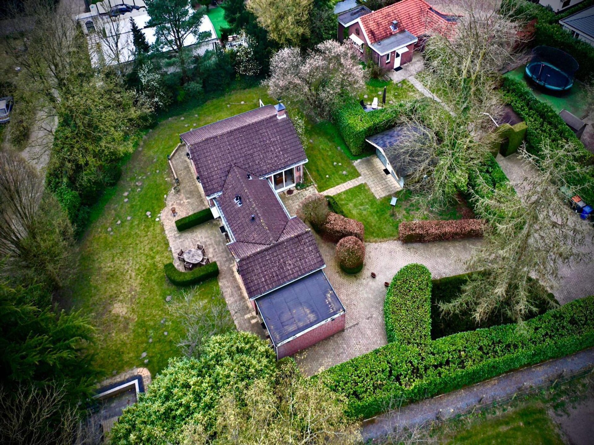Veluwse Specht: vrijstaand vakantiehuis aan de rand van het bos in Garderen - foto 27