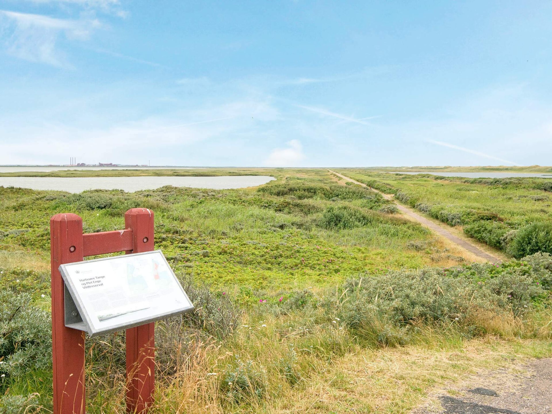 Ruim vakantiehuis op 150m van de Noordzee met dakterras en pizzaoven - foto 43