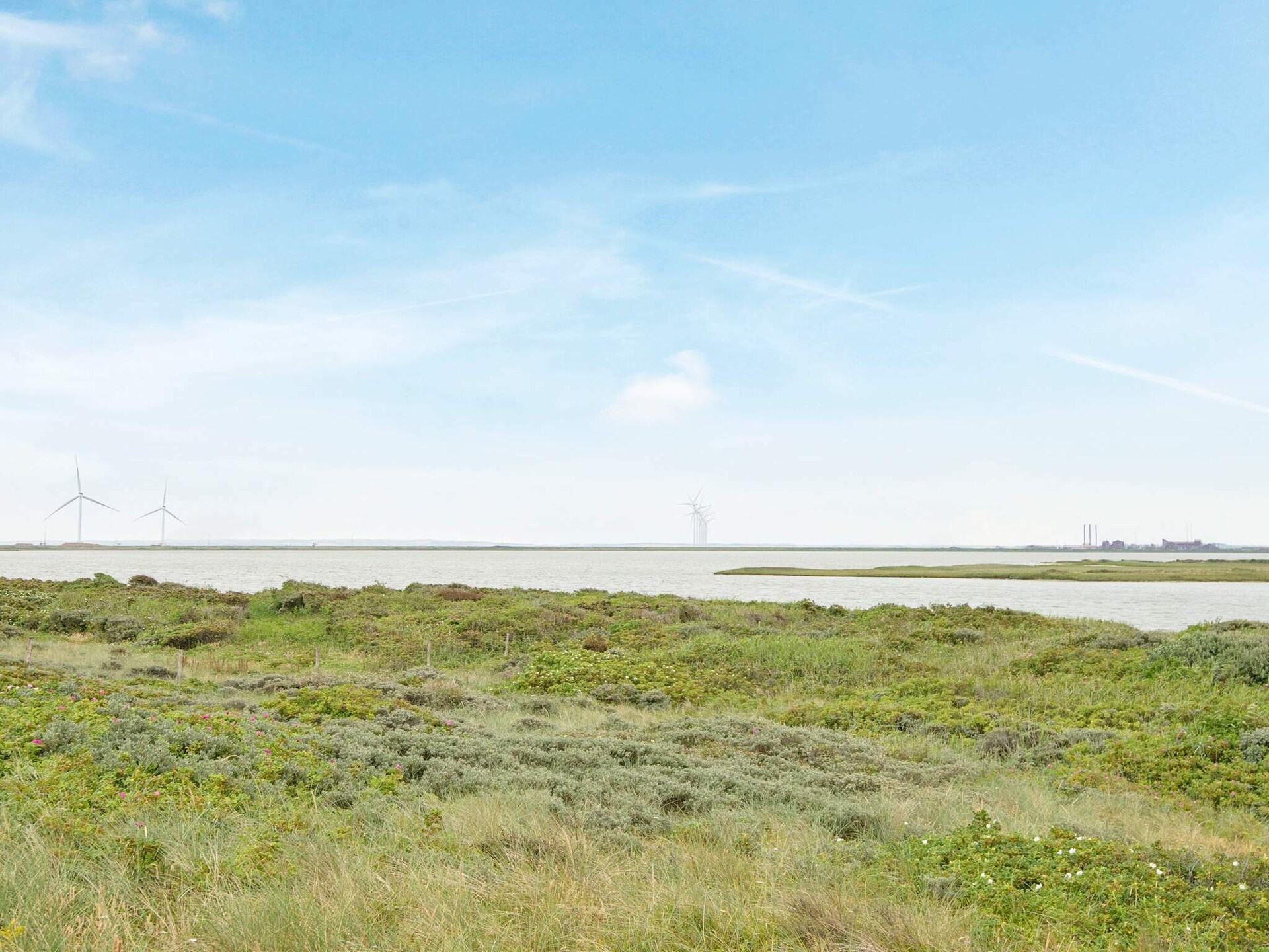 Ruim vakantiehuis op 150m van de Noordzee met dakterras en pizzaoven - foto 42