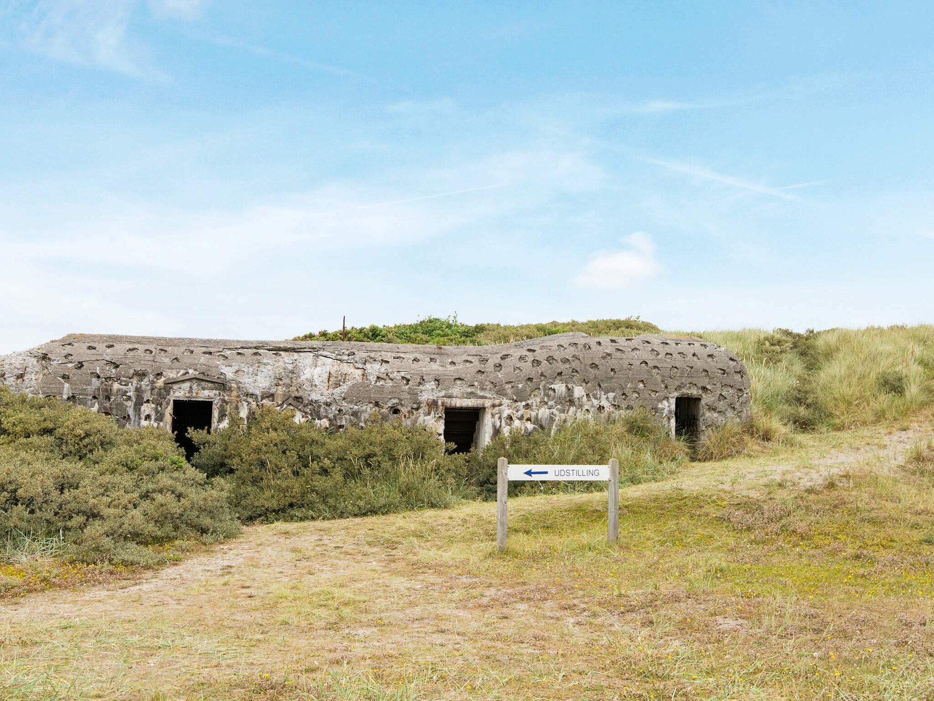 Ruim vakantiehuis op 150m van de Noordzee met dakterras en pizzaoven - foto 40