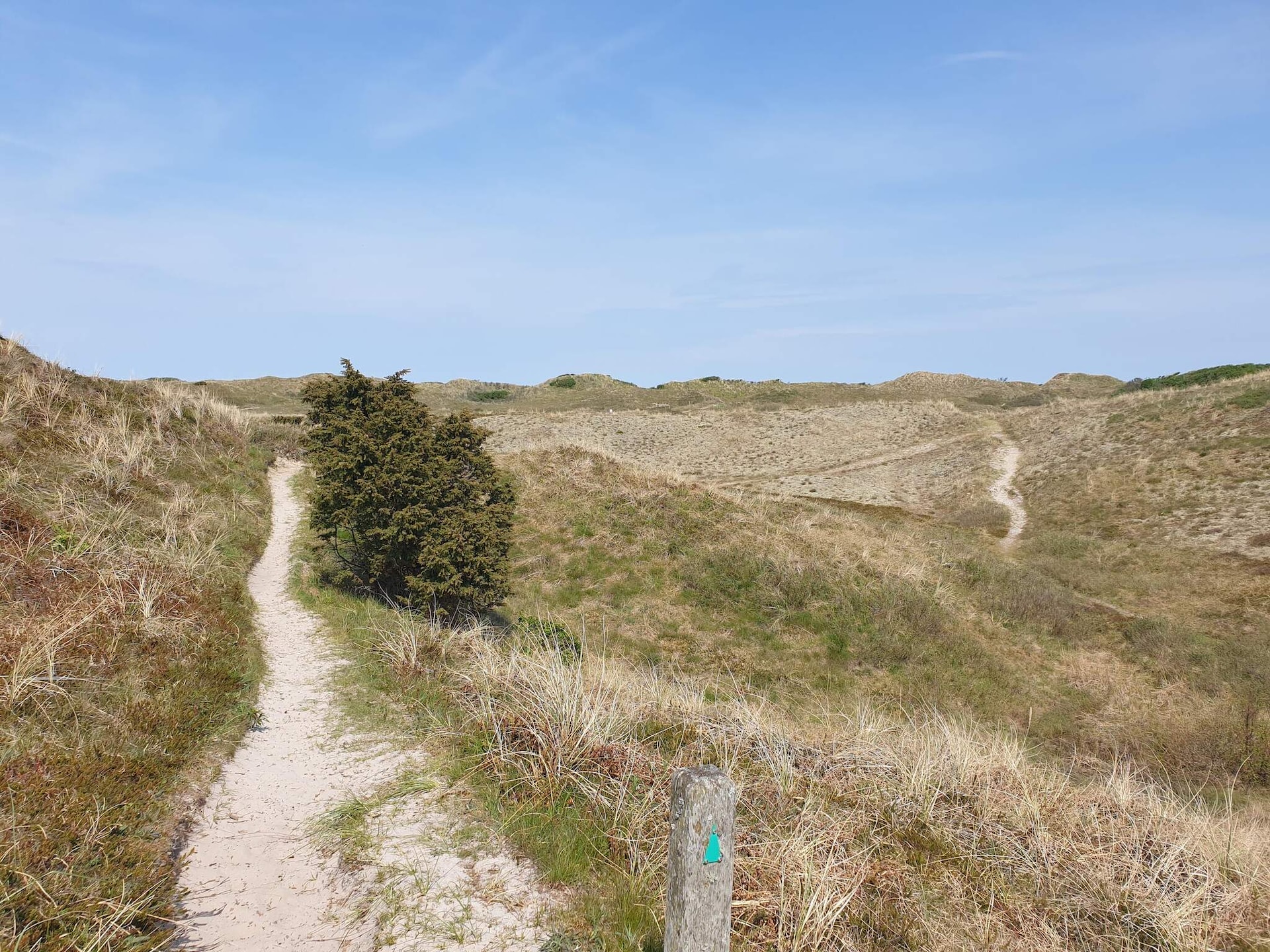 Aan zee: Rustgevend vakantiehuis in Bindslev met sauna en whirlpool - foto 5