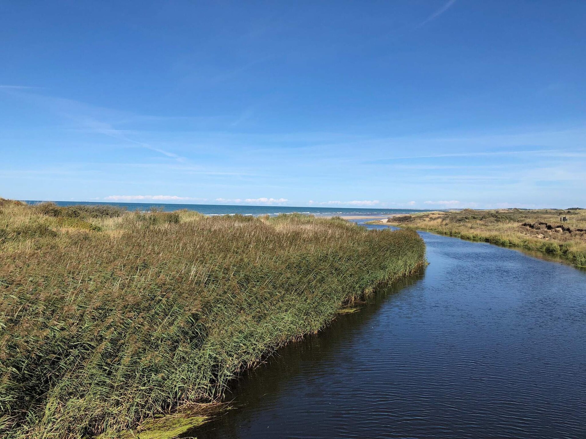 Aan zee: Rustgevend vakantiehuis in Bindslev met sauna en whirlpool - foto 19