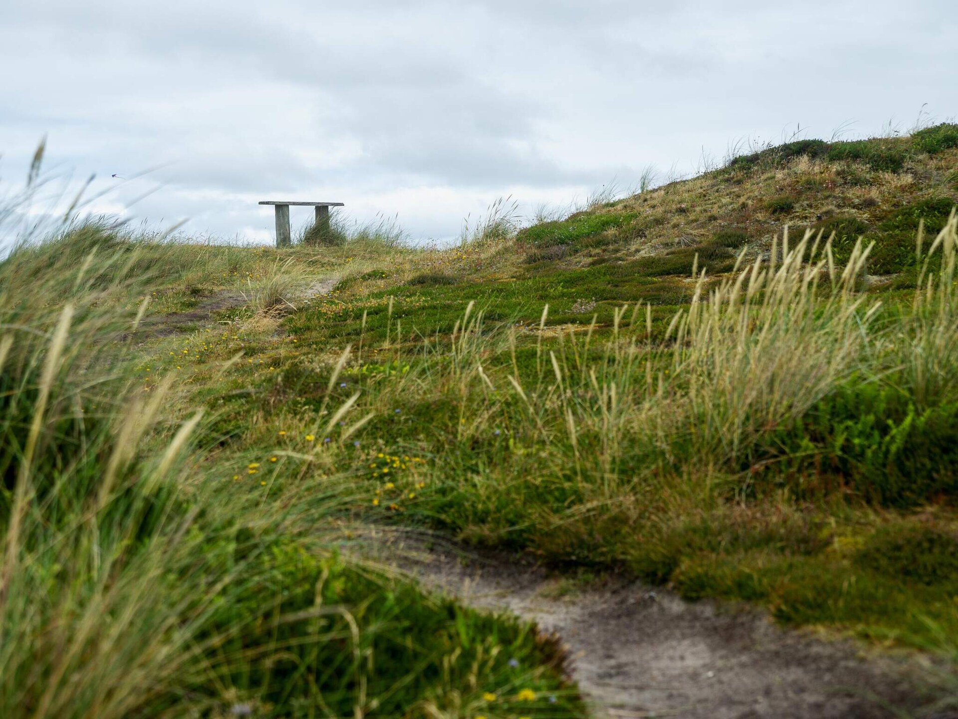 Vrijstaand vakantiehuis op 200 meter van de Noordzeekust bij Harboøre - foto 15