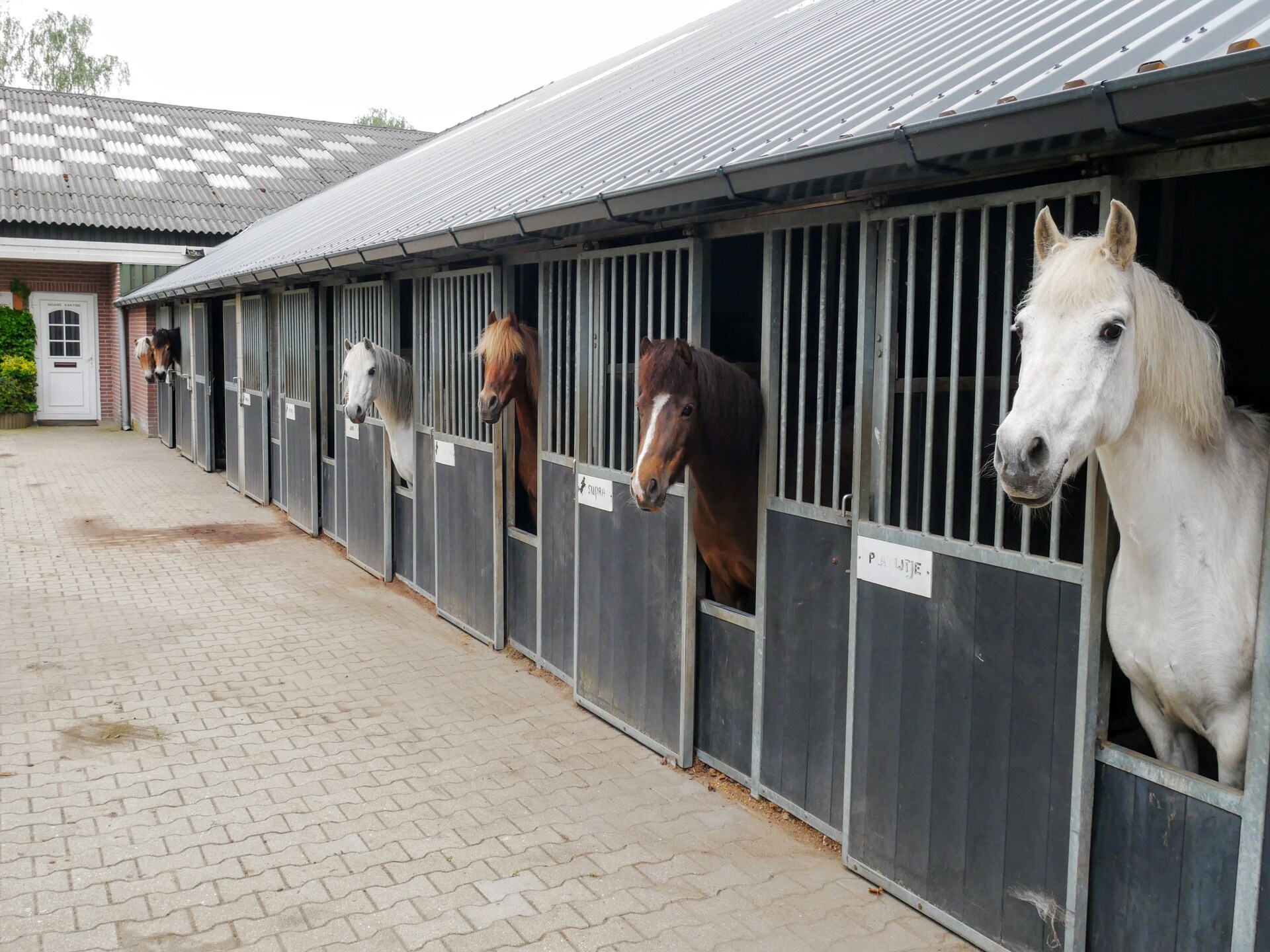 Erve Tank: Landelijk appartement met uitzicht op manege in Eibergen - foto 20