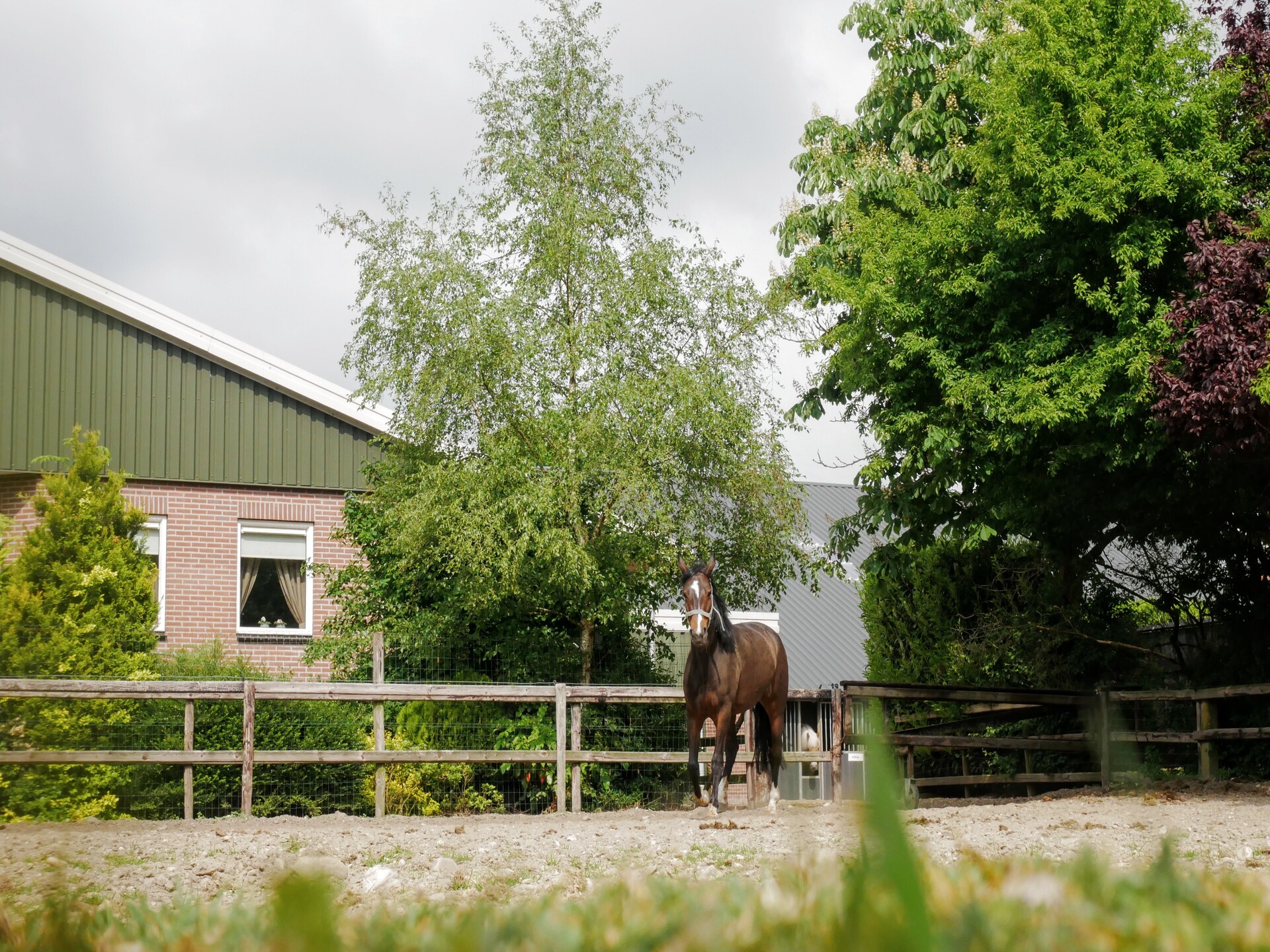 Erve Tank: Landelijk appartement met uitzicht op manege in Eibergen - foto 21