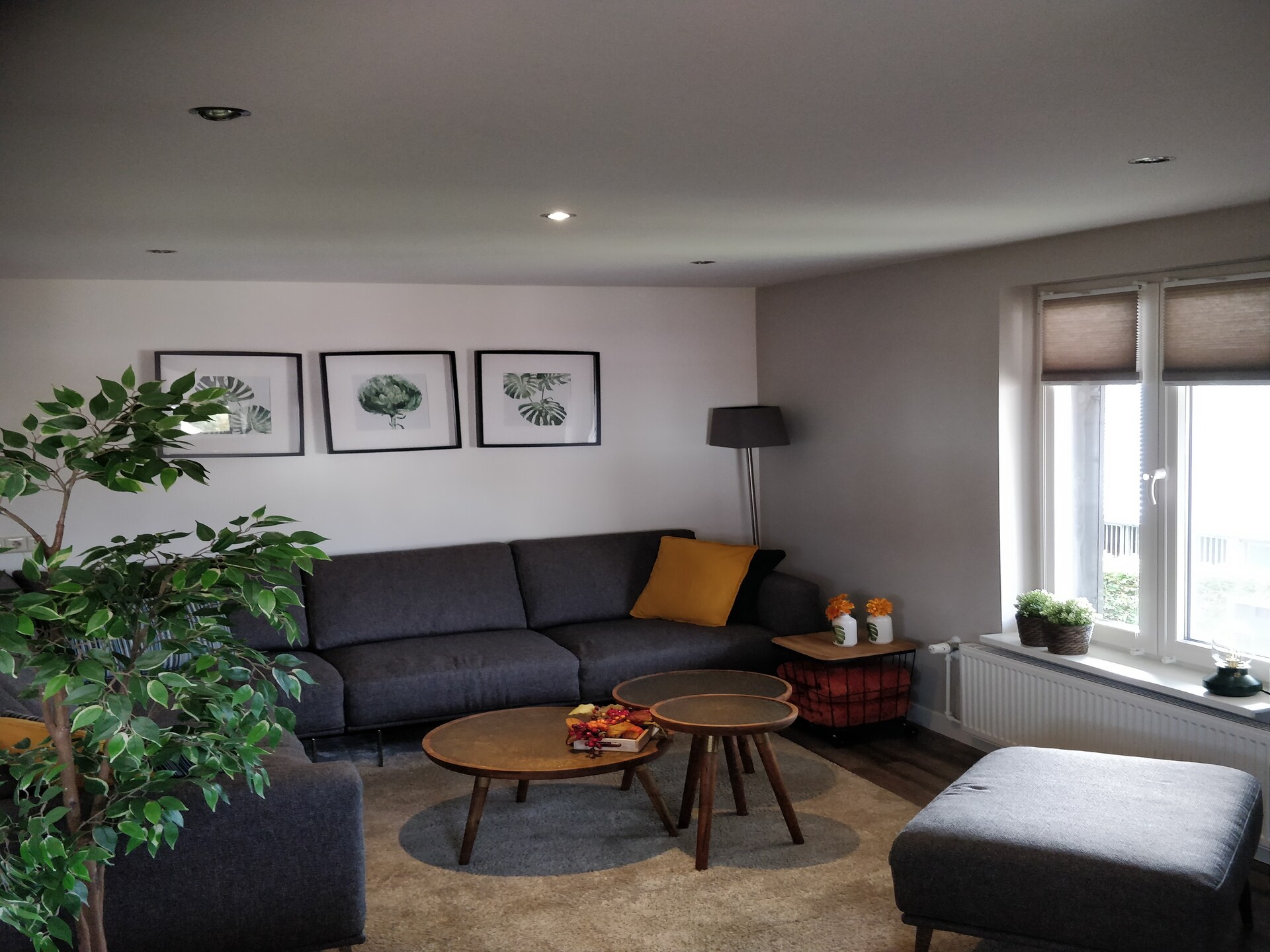 Erve Tank: Landelijk appartement met uitzicht op manege in Eibergen - foto 7