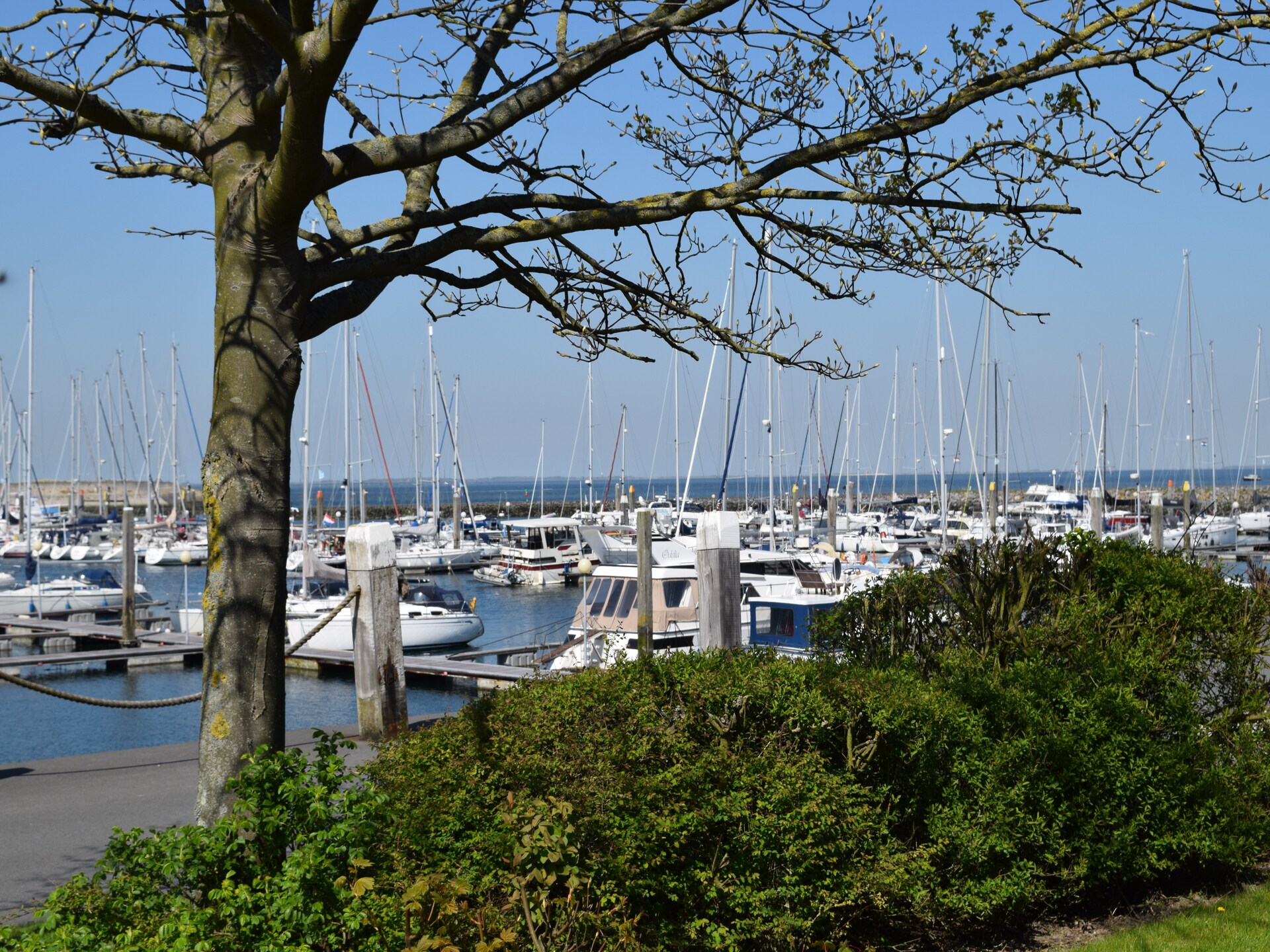Vrijstaande bungalow met uitzicht over jachthaven en Oosterschelde - foto 16