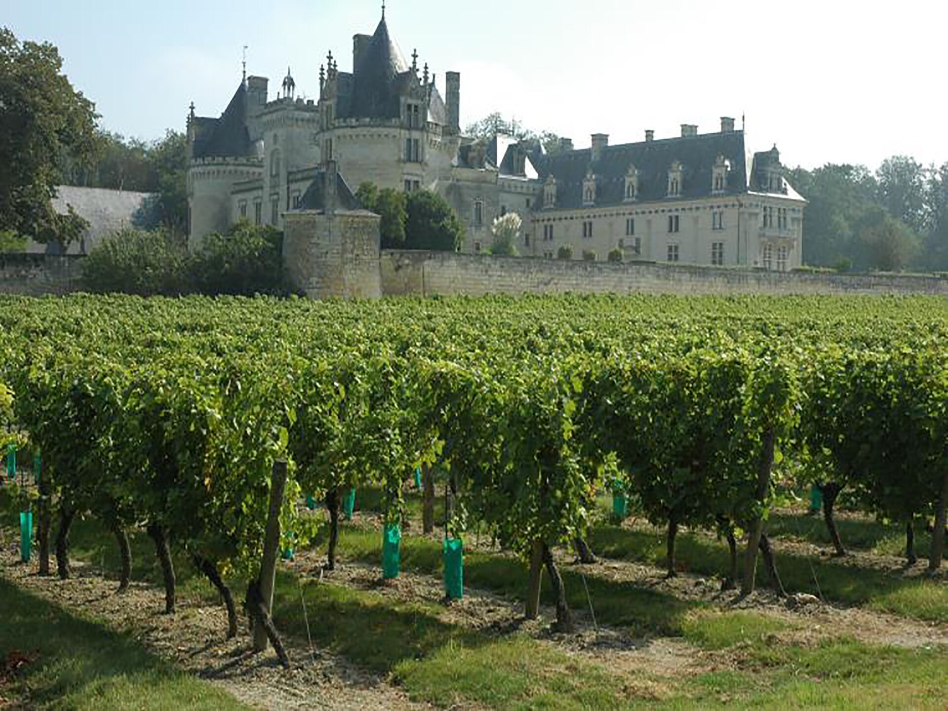 Landhuis Thizay: privézwembad, 6 pers., Loirevallei - foto 34