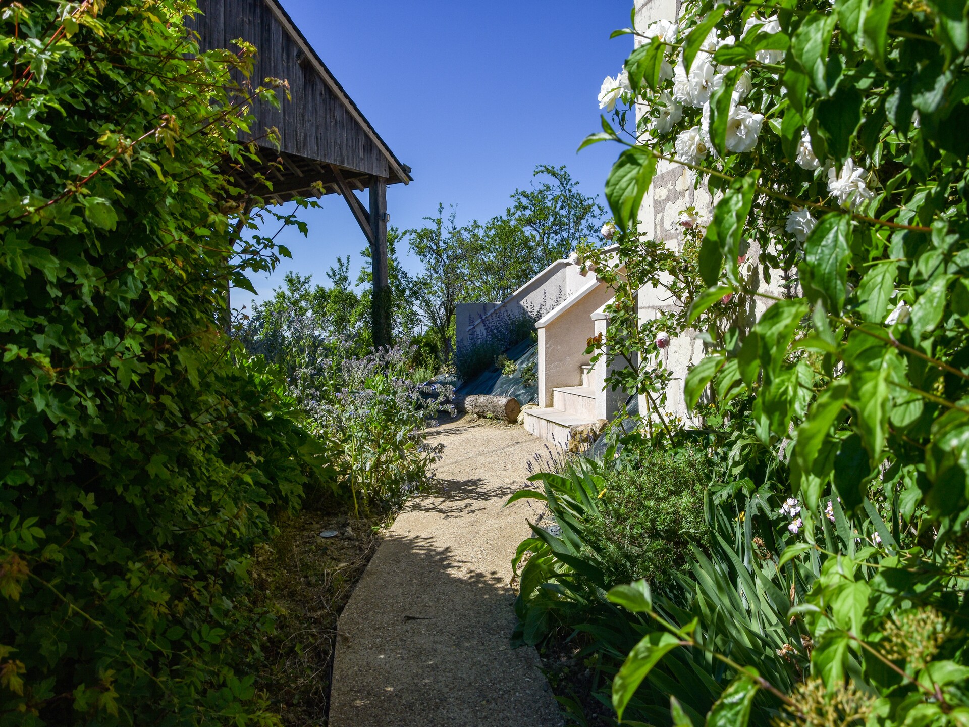 Landhuis Thizay: privézwembad, 6 pers., Loirevallei - foto 25