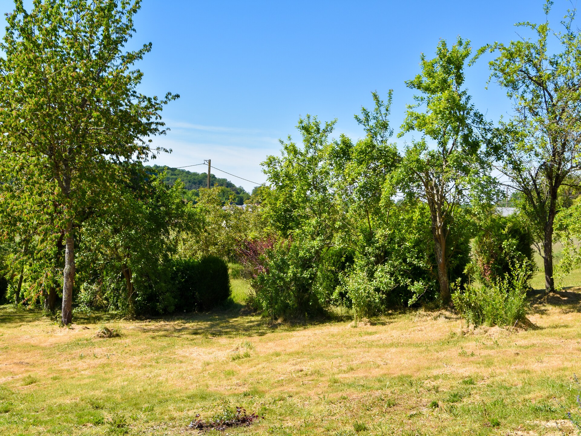 Landhuis Thizay: privézwembad, 6 pers., Loirevallei - foto 29
