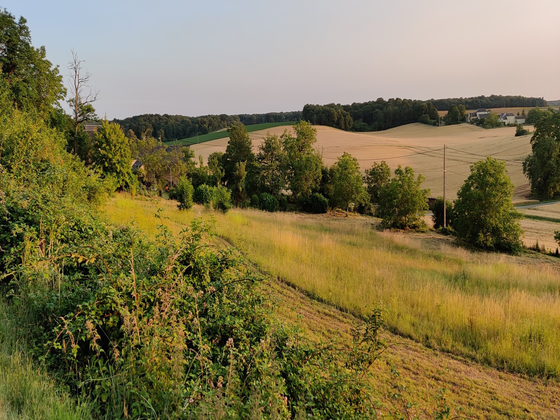 Landhuis Thizay: privézwembad, 6 pers., Loirevallei - foto 36