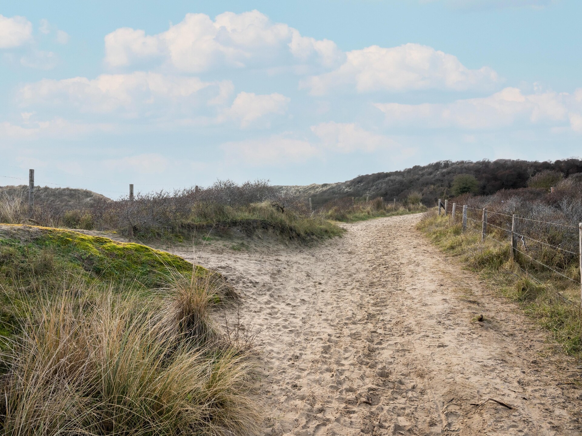 De Zilvermeeuw: Vrijstaand vakantiehuis in bosrijke omgeving nabij zee - foto 31
