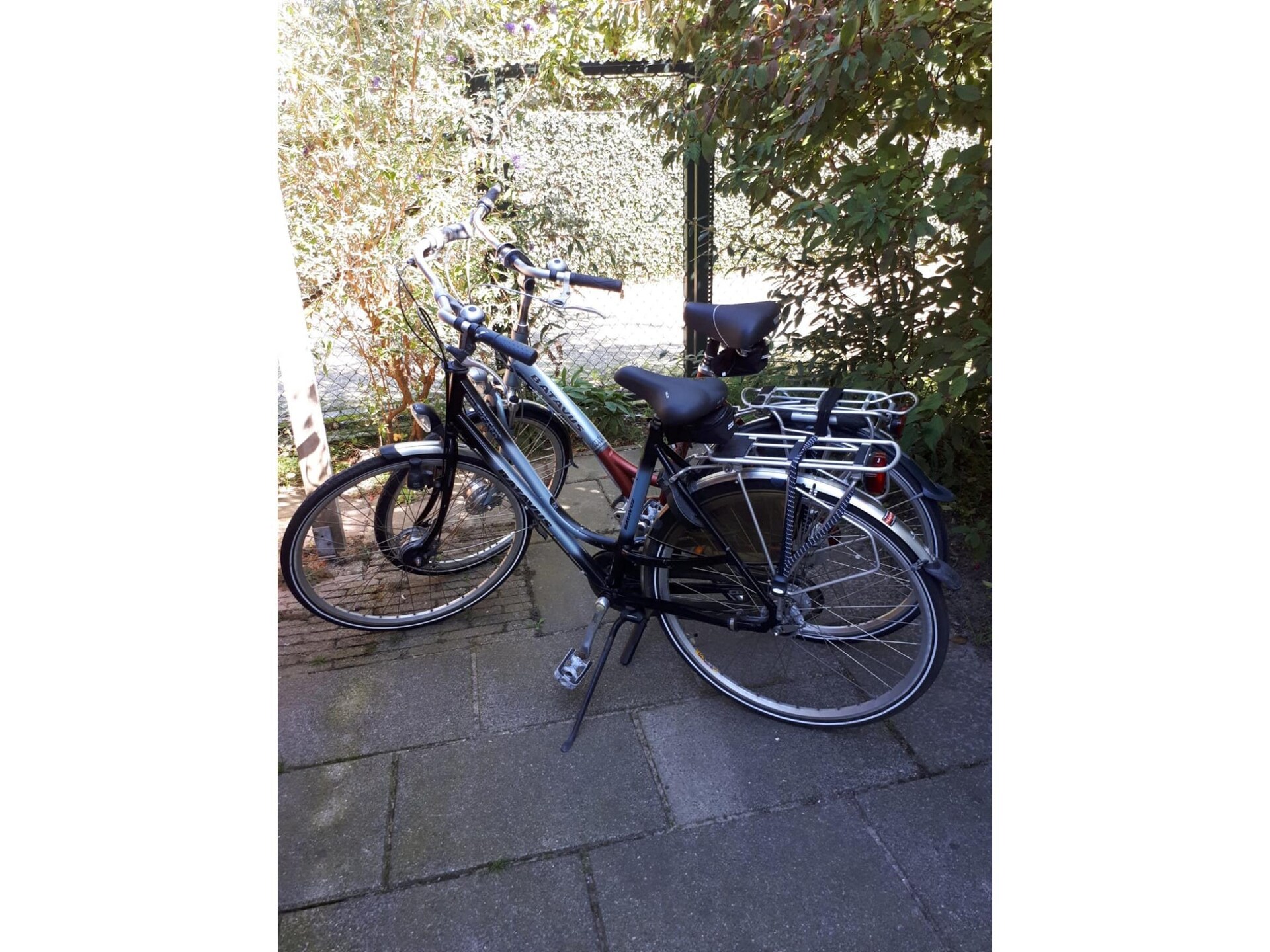 De Zilvermeeuw: Vrijstaand vakantiehuis in bosrijke omgeving nabij zee - foto 38