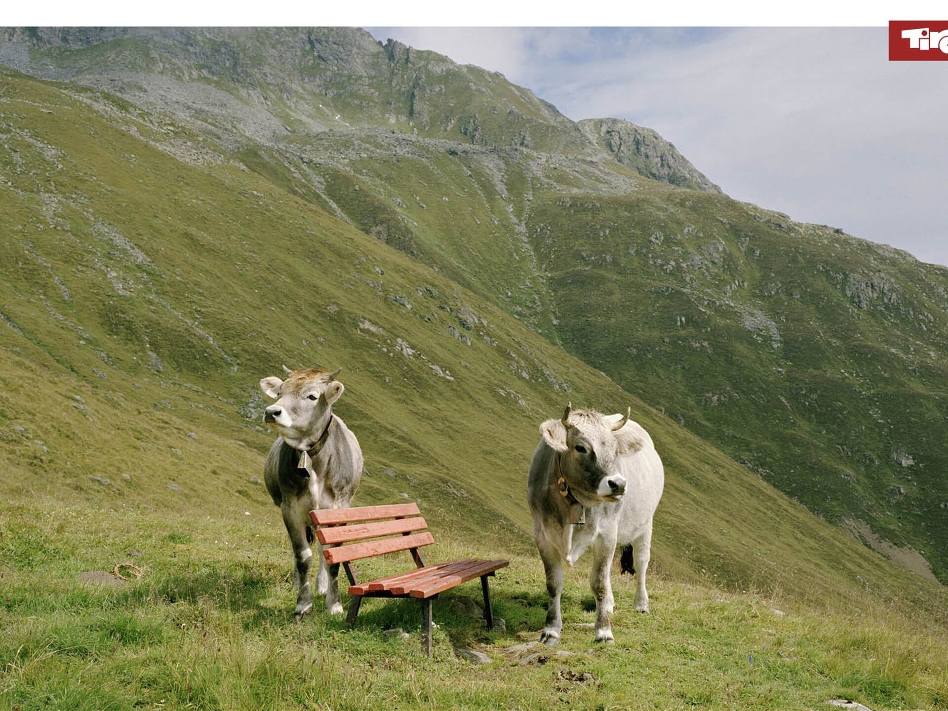 Ruim vakantiehuis Haus Jäger III XL in Kirchdorf in Tirol - foto 46