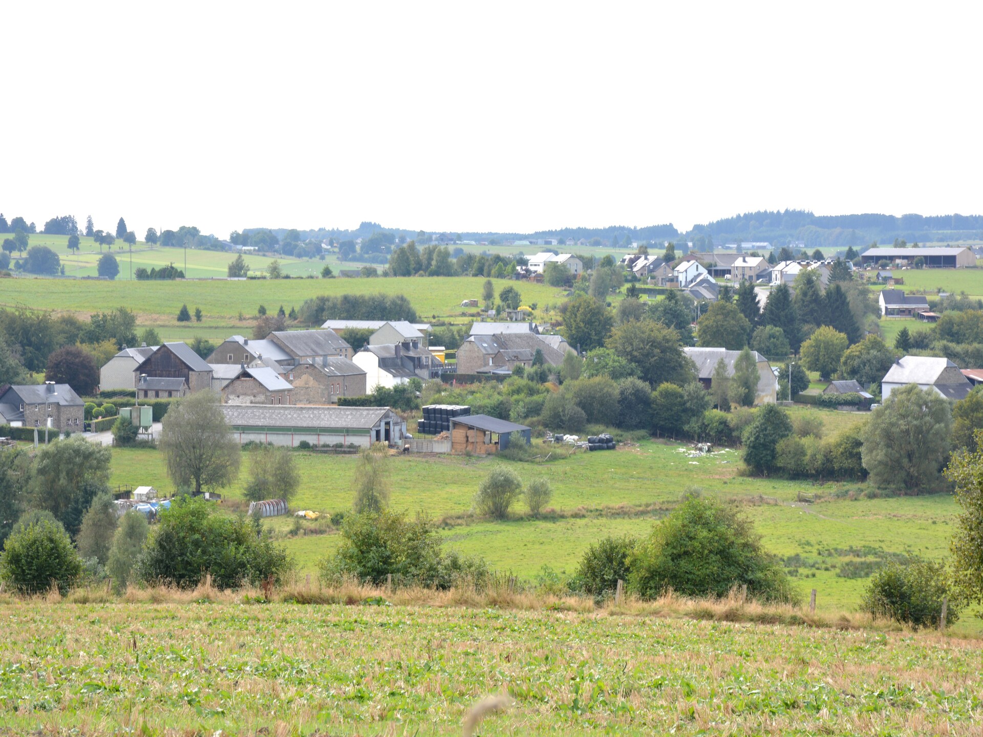 4-persoons vakantiehuis met haard en omheinde tuin in Vaux-sur-Sûre - foto 28
