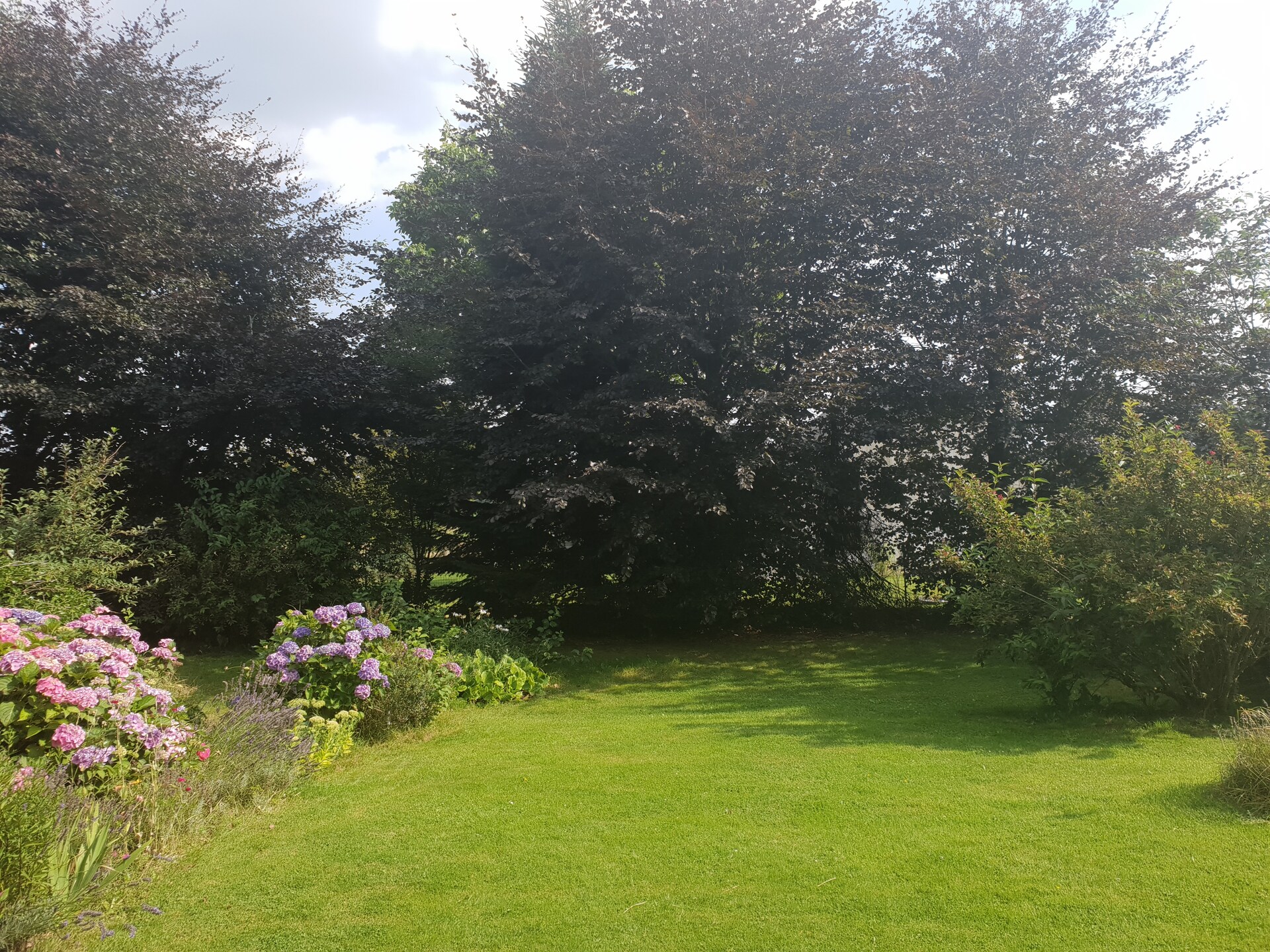 4-persoons vakantiehuis met haard en omheinde tuin in Vaux-sur-Sûre - foto 20