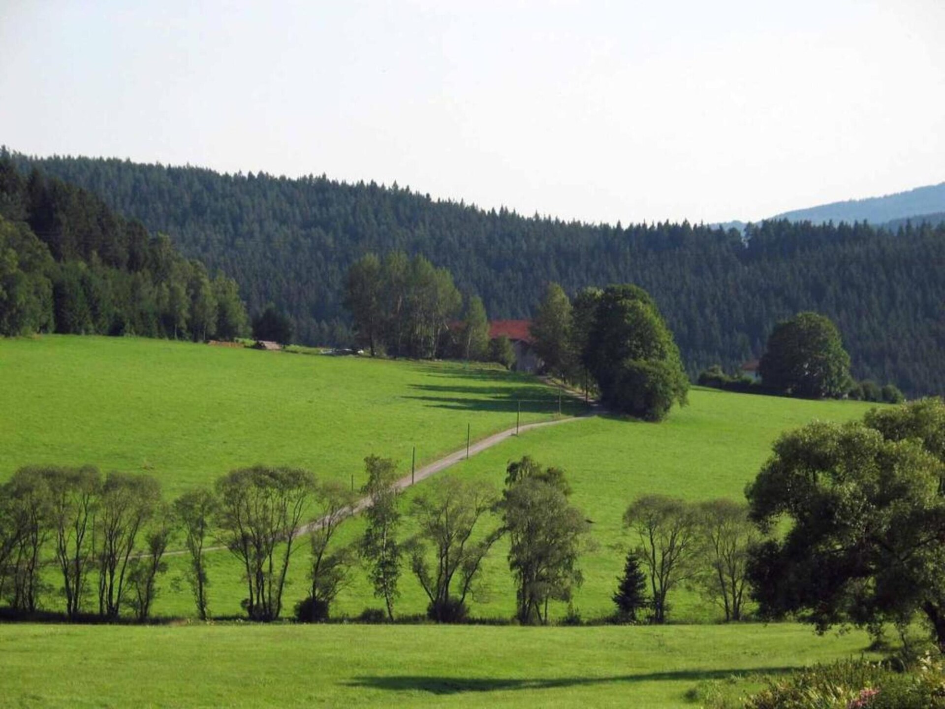Knus bosappartement met zwembad nabij Regen, Beieren - foto 32