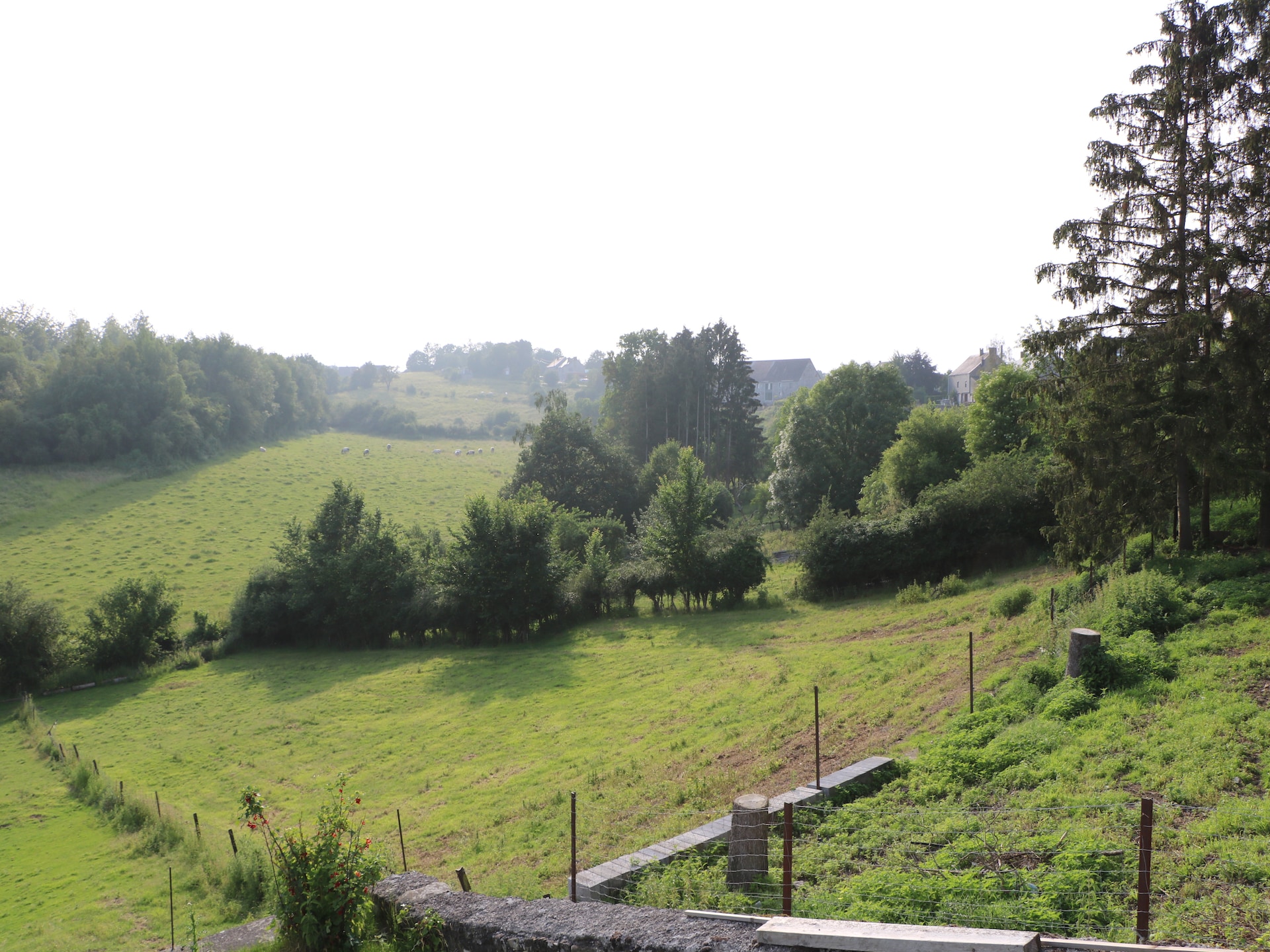 8-persoons vakantiehuis met barrelbar in Couvin Ardennes - foto 18