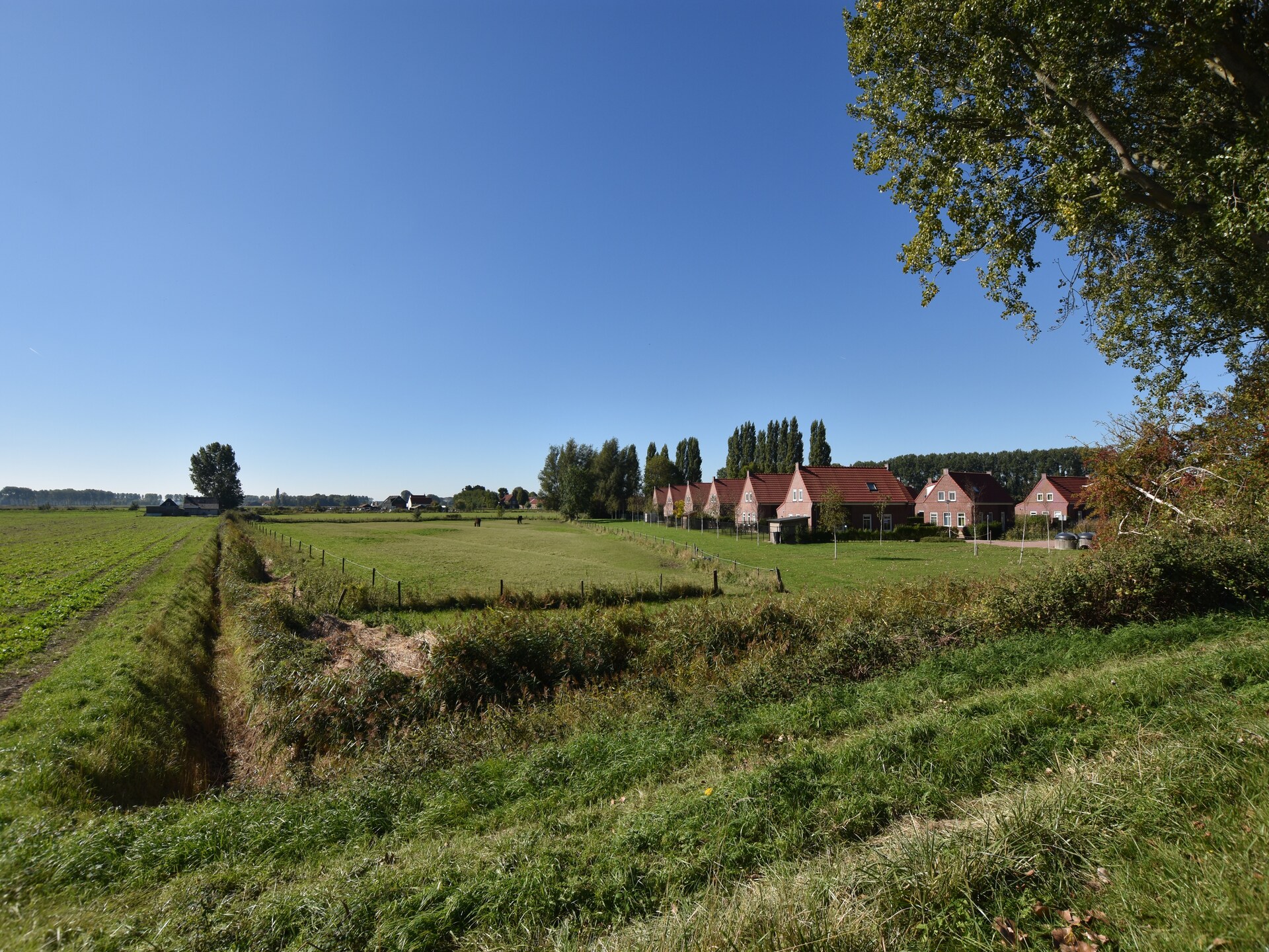 Vrijstaand vakantiehuis met golfbaan en infraroodsauna in Breskens - foto 25
