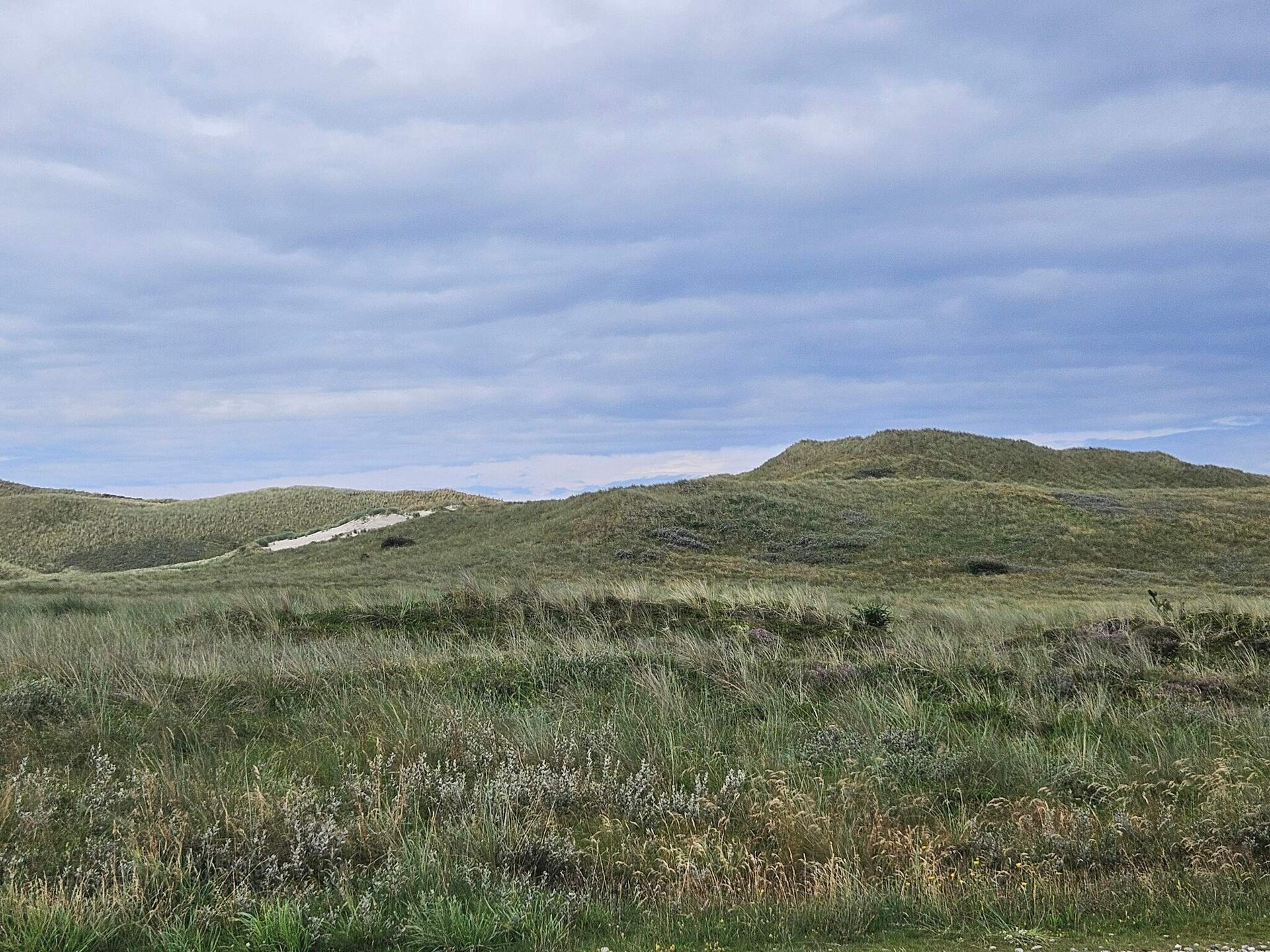 Sfeervol rietgedekt vakantiehuis op 700 meter van de Deense kust - foto 8