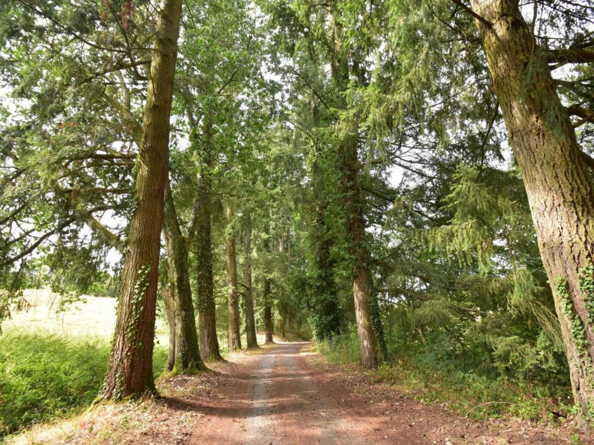 Omheind vakantiehuis voor 6 met weids uitzicht bij Cuzy, Bourgondië - foto 37