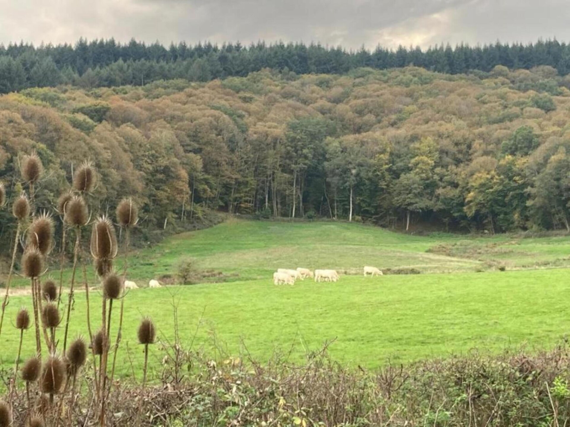 Omheind vakantiehuis voor 6 met weids uitzicht bij Cuzy, Bourgondië - foto 33