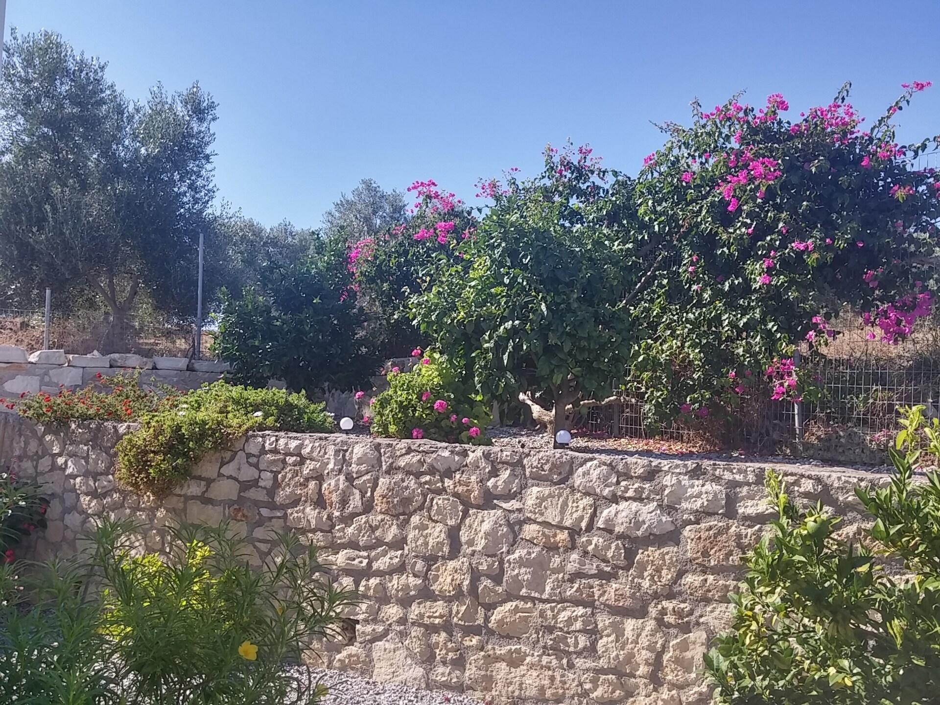 Villa Estia: authentieke villa met zwembad en zeezicht op Kreta - foto 20