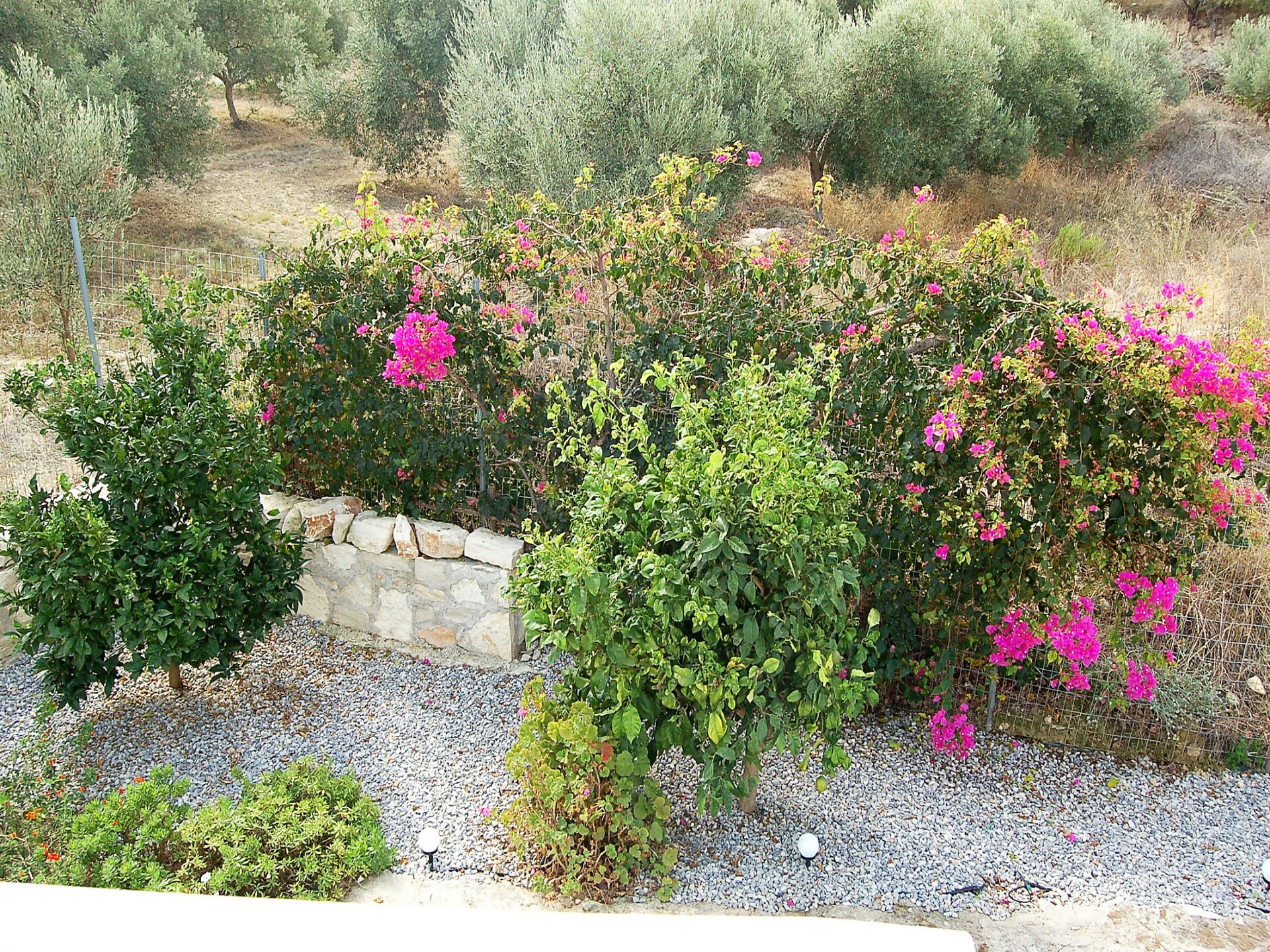 Villa Estia: authentieke villa met zwembad en zeezicht op Kreta - foto 21
