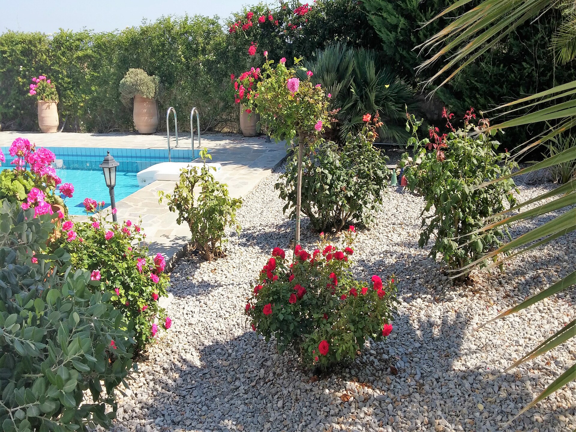 Villa Estia: authentieke villa met zwembad en zeezicht op Kreta - foto 19