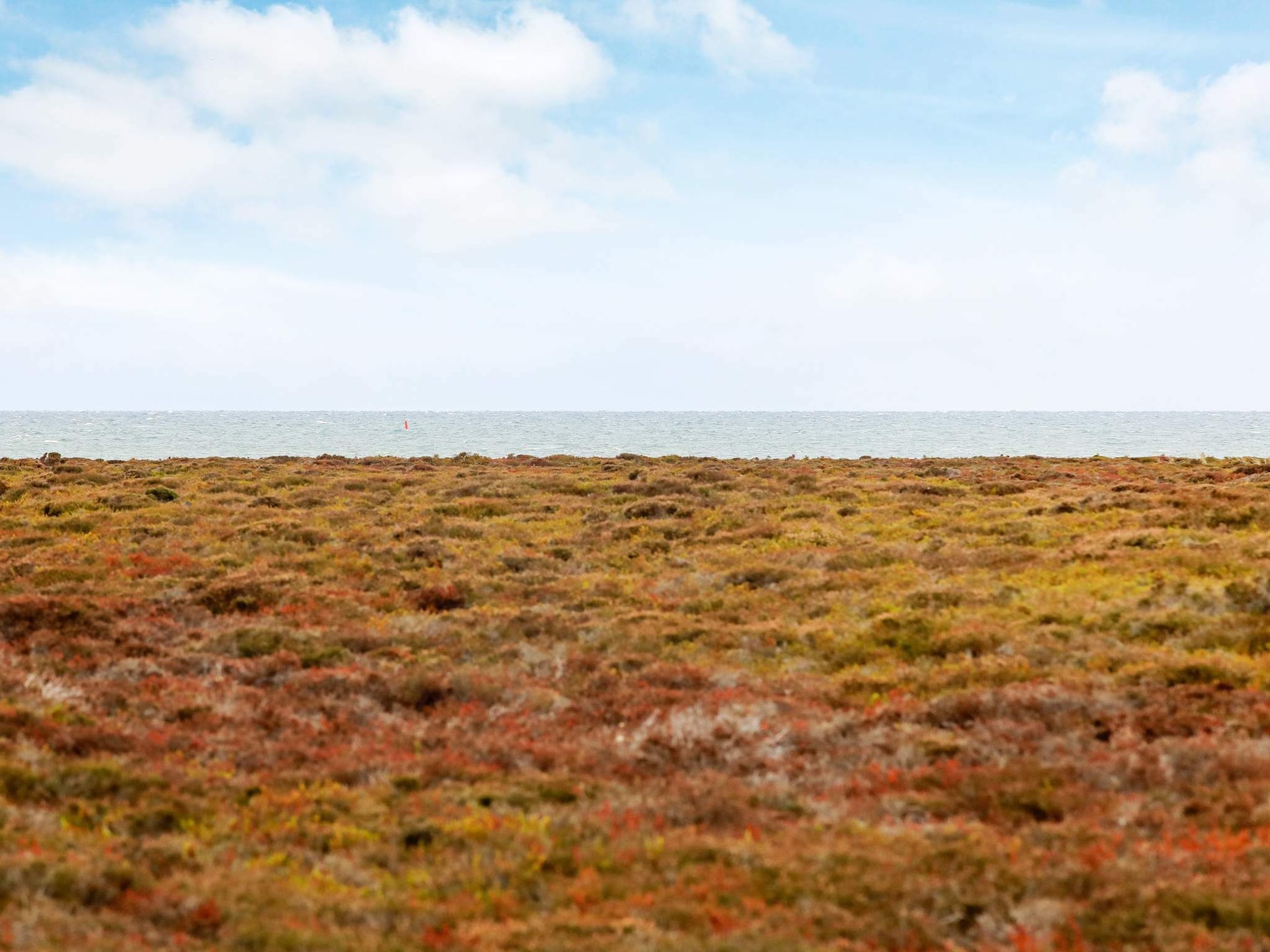 Vrijstaand vakantiehuis met panoramisch zeezicht op Læsø, 200m van de kust - foto 4