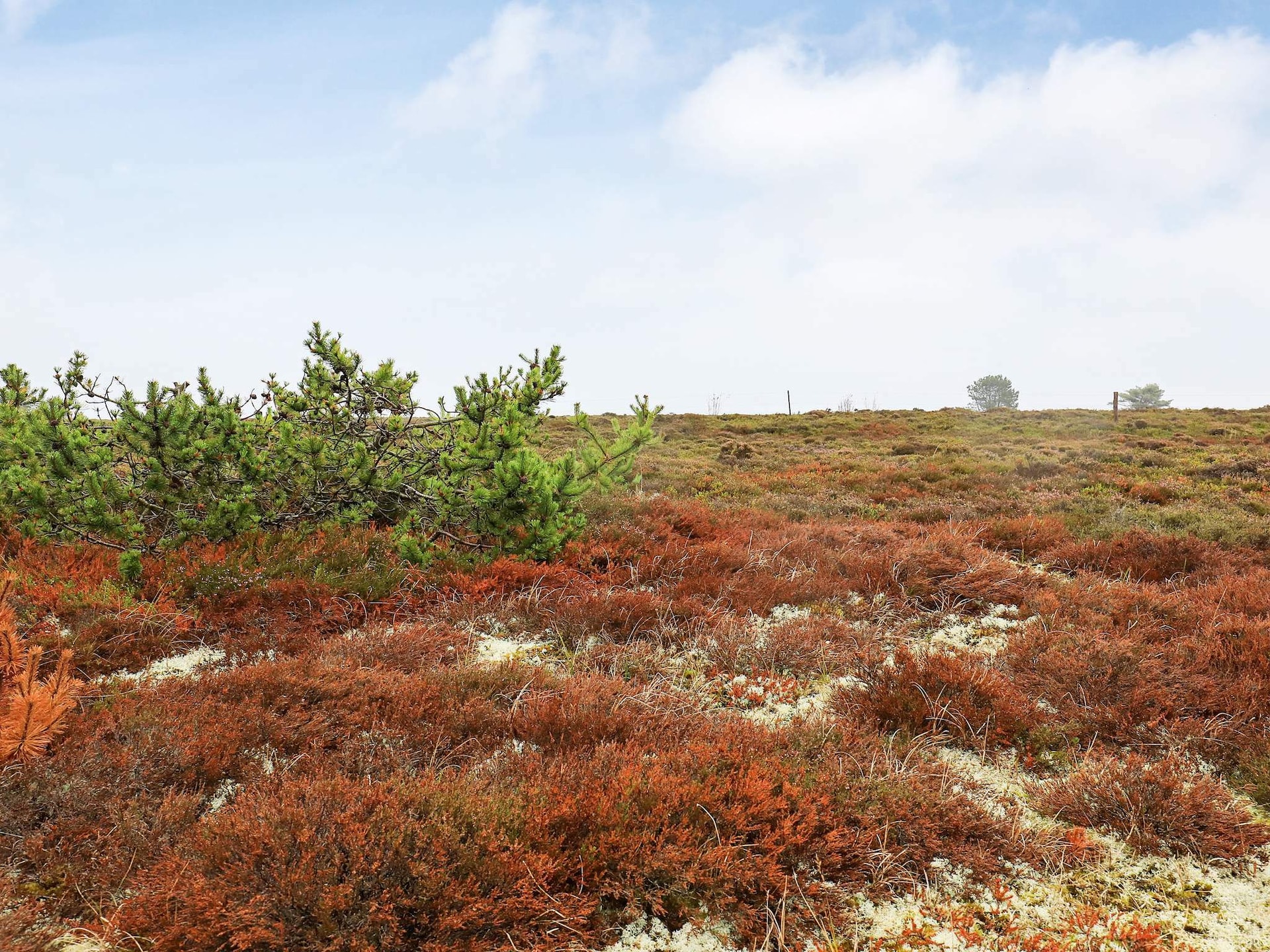 Vrijstaand vakantiehuis met panoramisch zeezicht op Læsø, 200m van de kust - foto 30