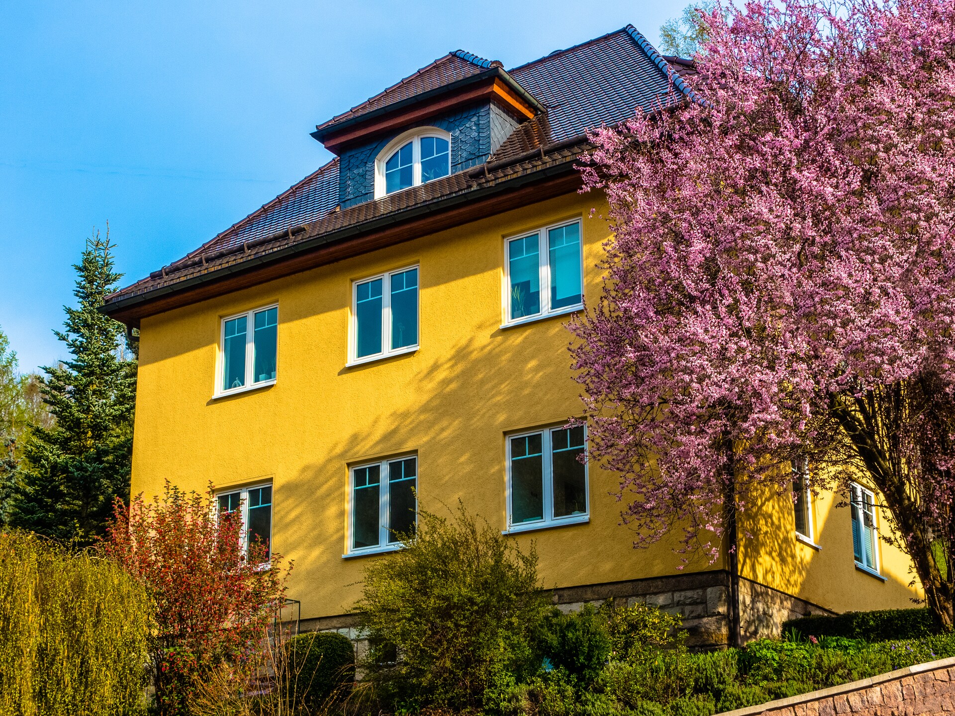 Rustiek appartement aan de bosrand in het Thüringer Woud - foto 1