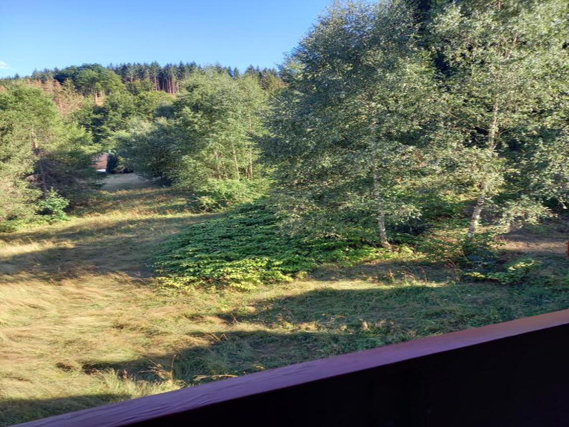 Rustiek appartement aan de bosrand in het Thüringer Woud - foto 30