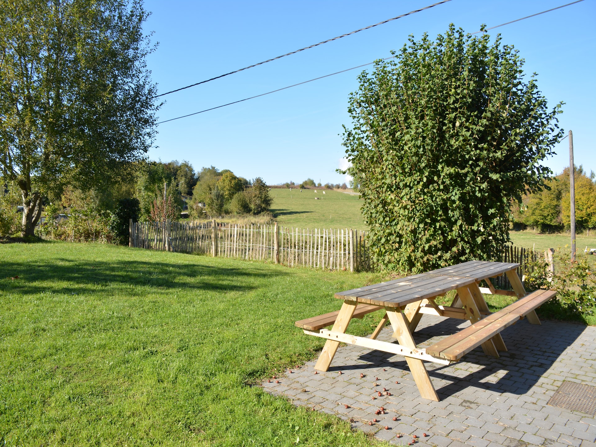 12-persoons vakantiehuis met sauna in Gedinne - foto 22