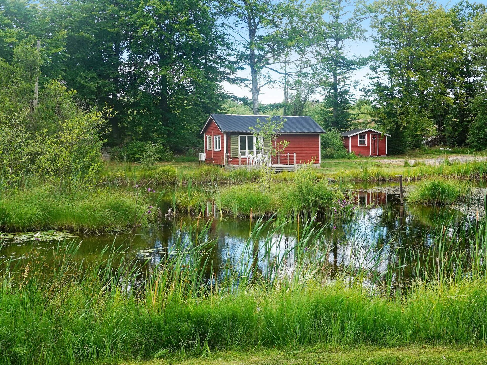 Kleine natuurhut aan de golfbaan in het prachtige Österlen - foto 2
